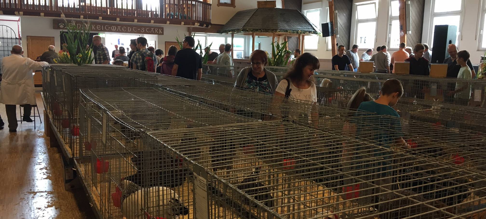 Medebach und Eslohe Reiste feiern an diesem Wochenende