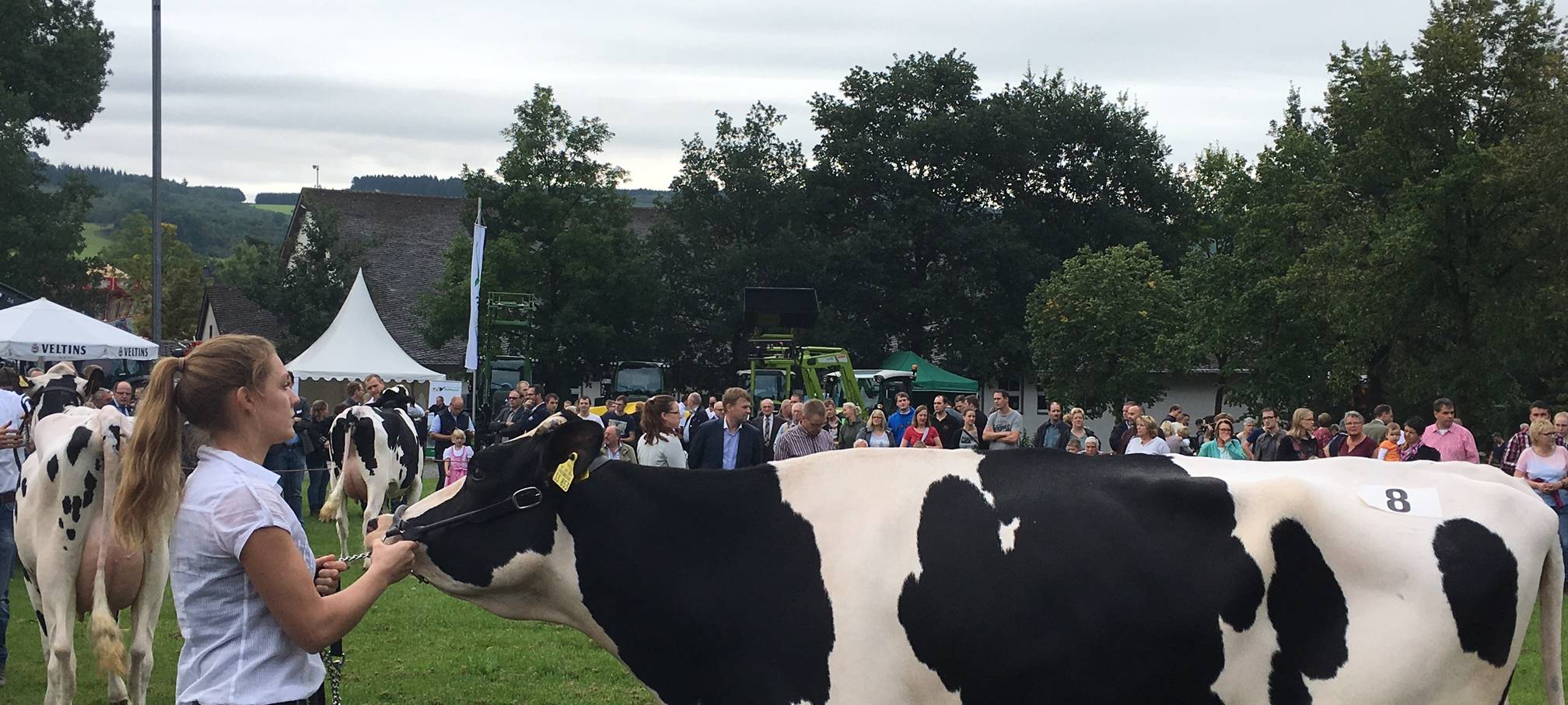 PETA kritisiert Sauerländer Veterinäramt