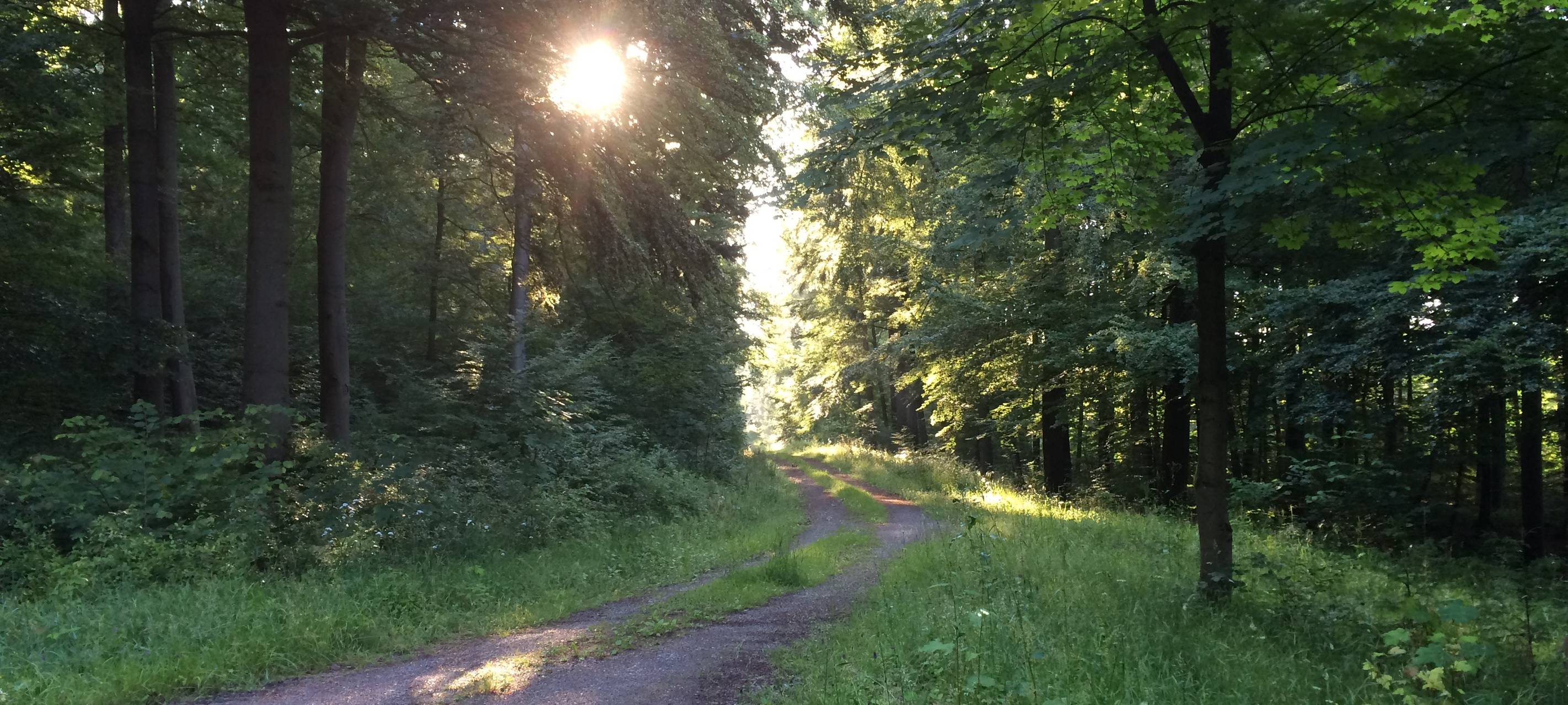 Sauerland unterschätzt