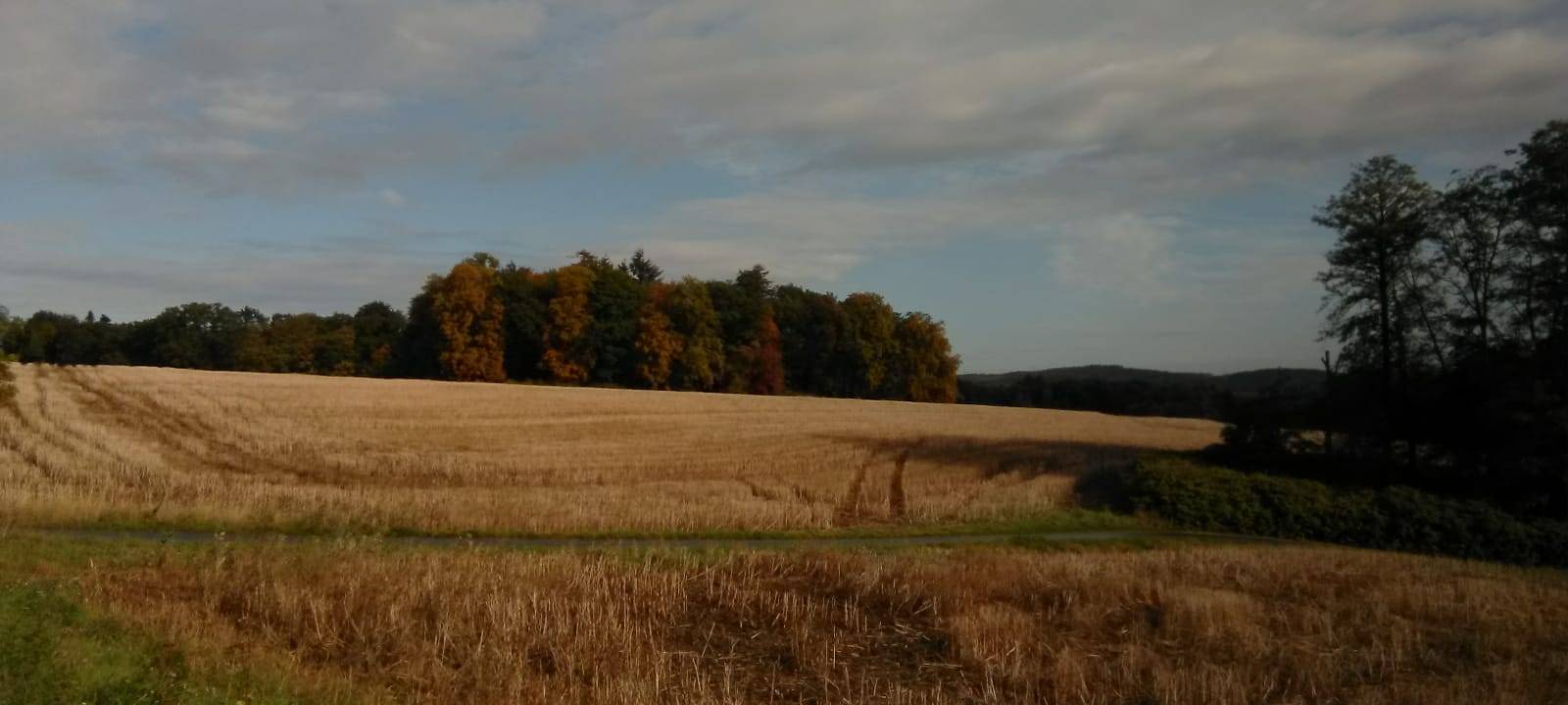 Sauerland: Erntebilanz 2022 vorgestellt