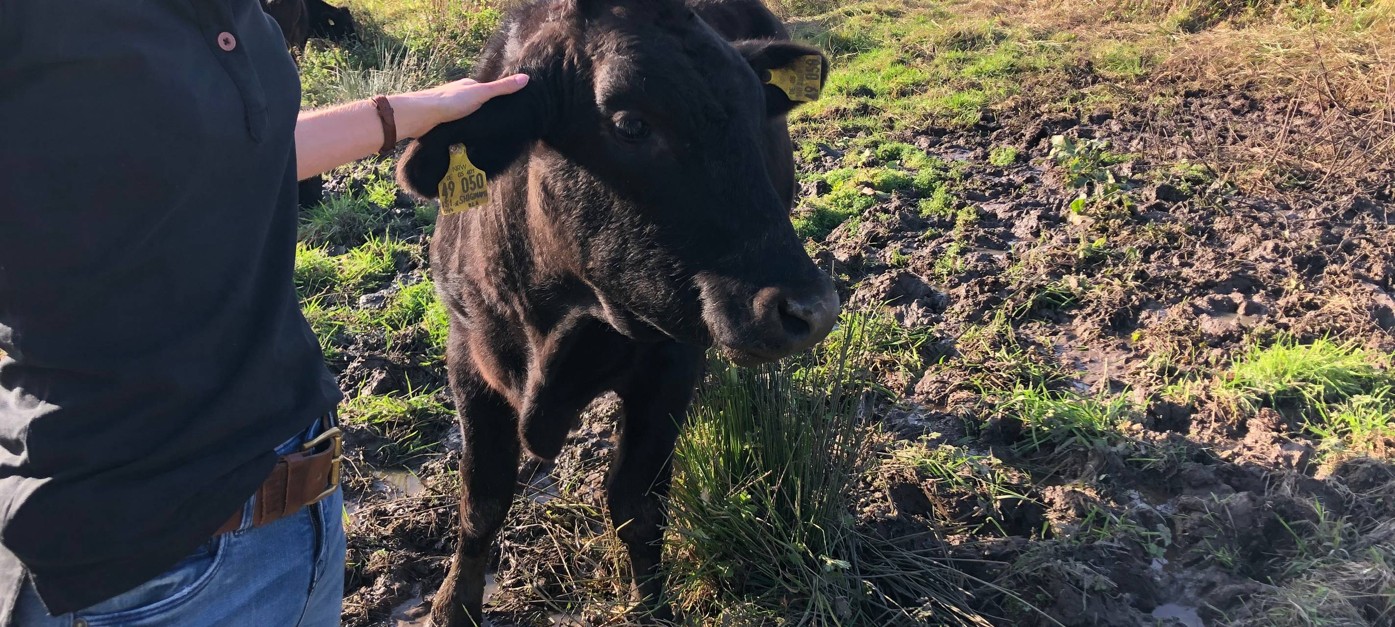 Preis: Landwirtin des Jahres