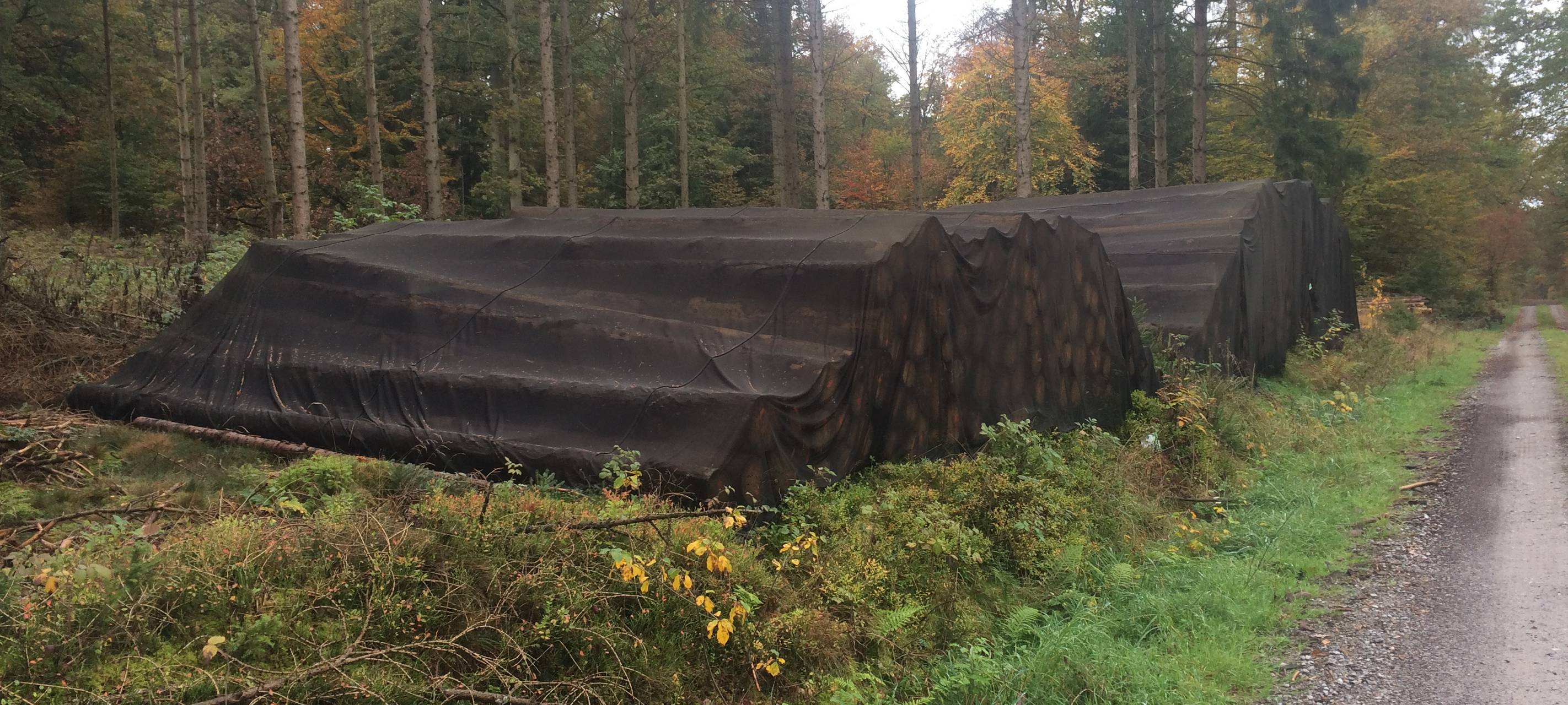 Test: Verliert Holz in Folie an Qualität?