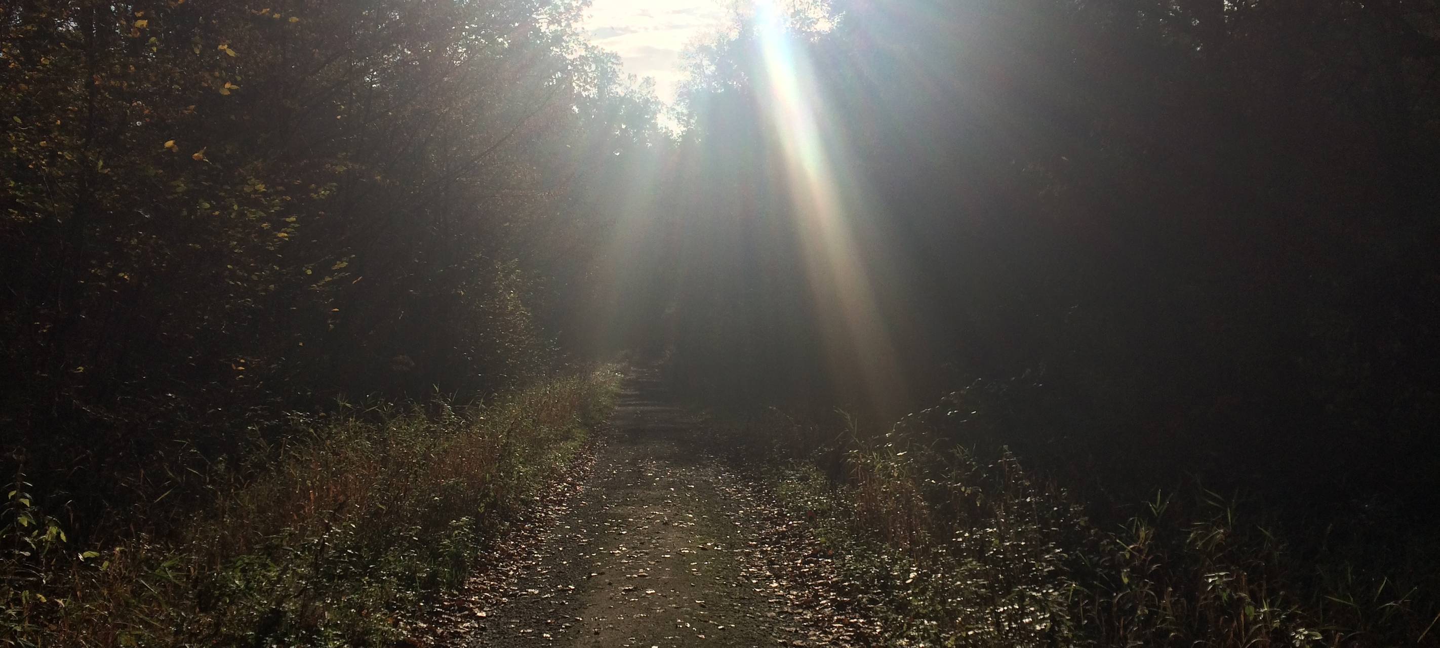 Arnsberg: Zerstörungen in Naturschutzgebiet