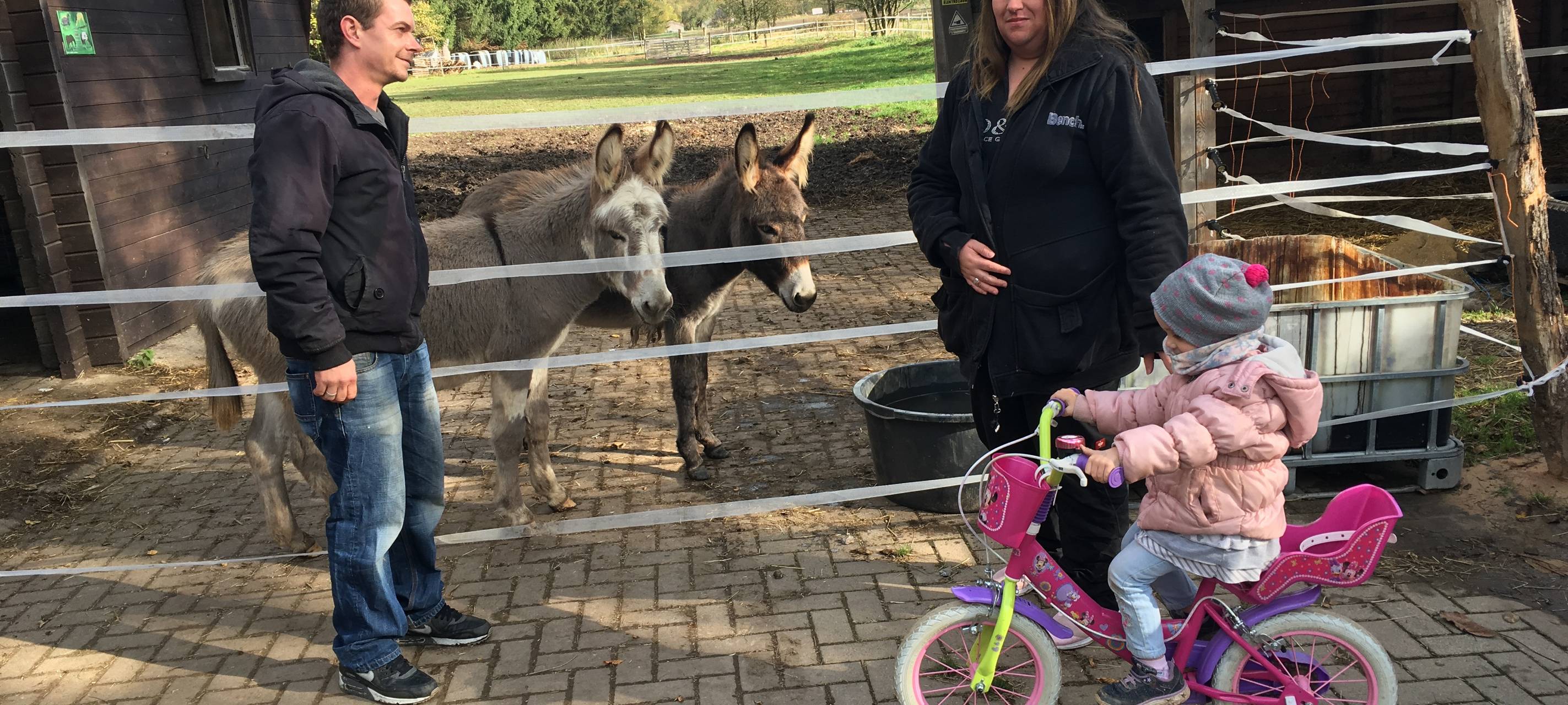 Hilfe für Gewaltopfer in Marsberg