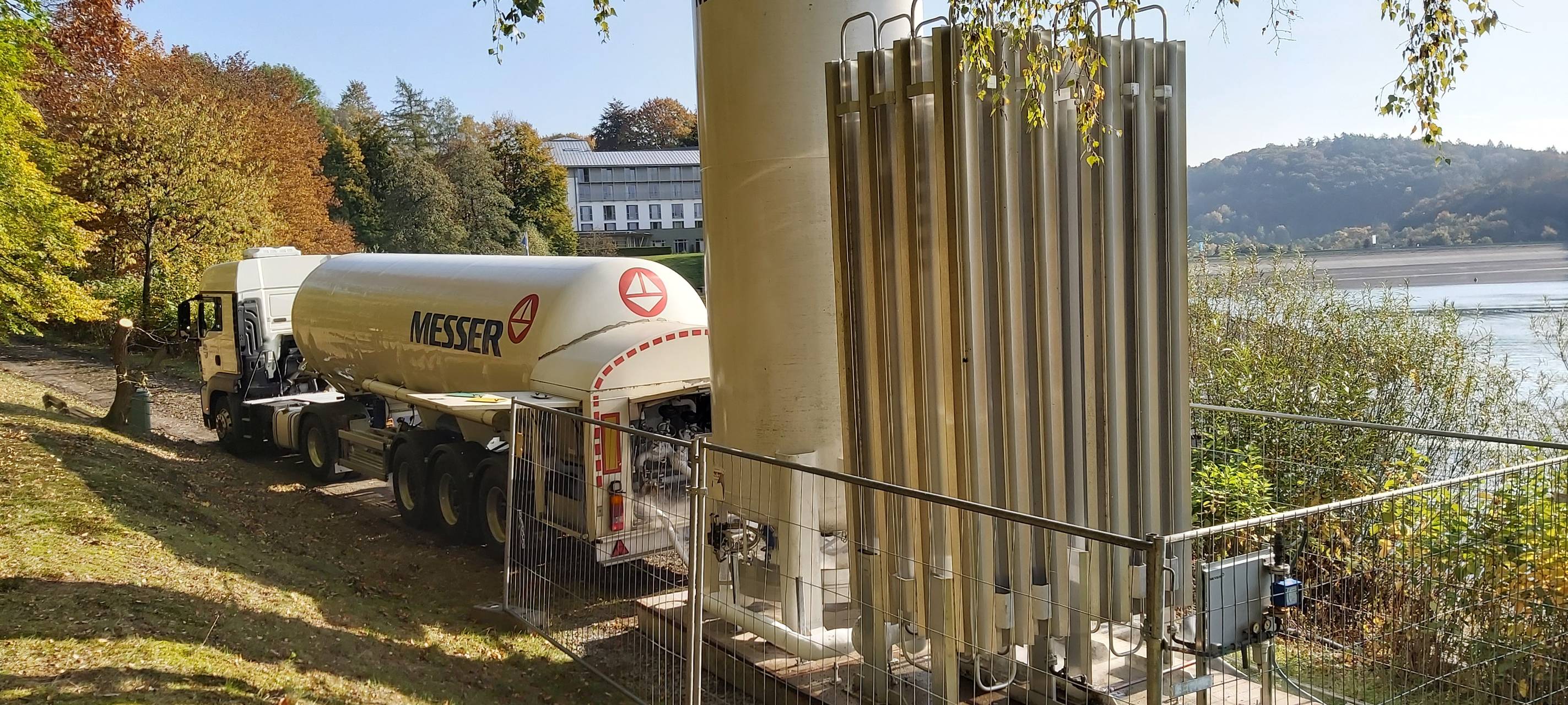 Hennesee-Fische außer Gefahr