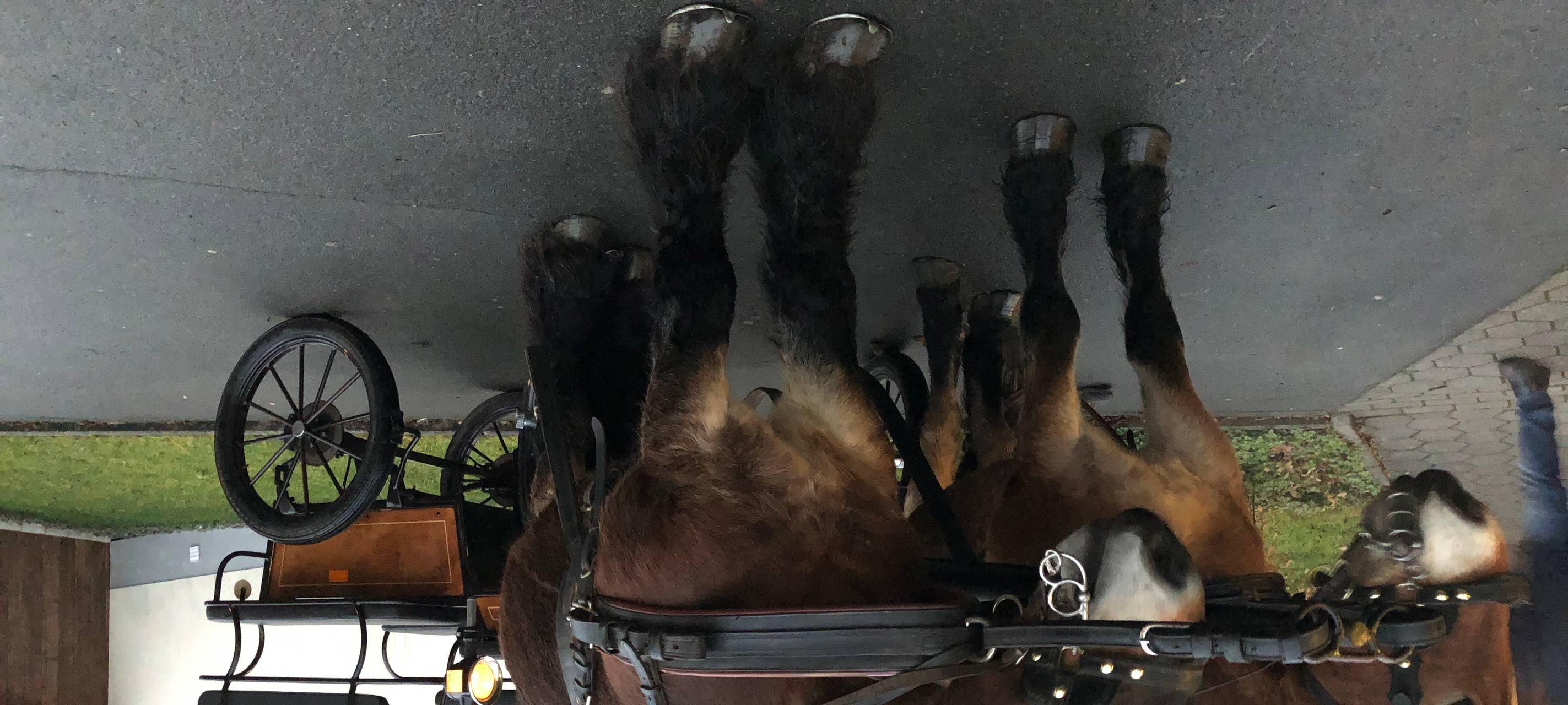 Radio Sauerland-Weihnachtsmarkt 2019