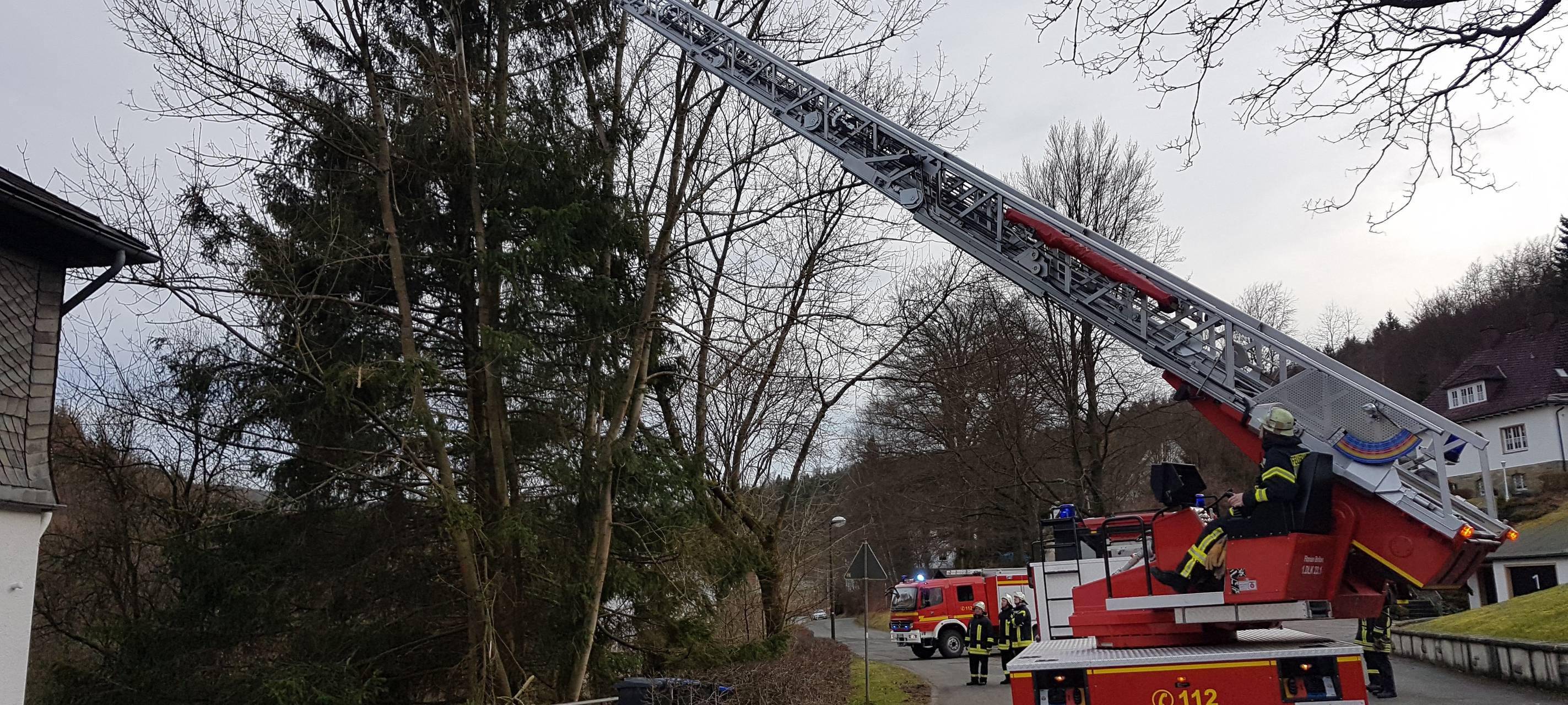 Sturm Victoria wirft Bäume um
