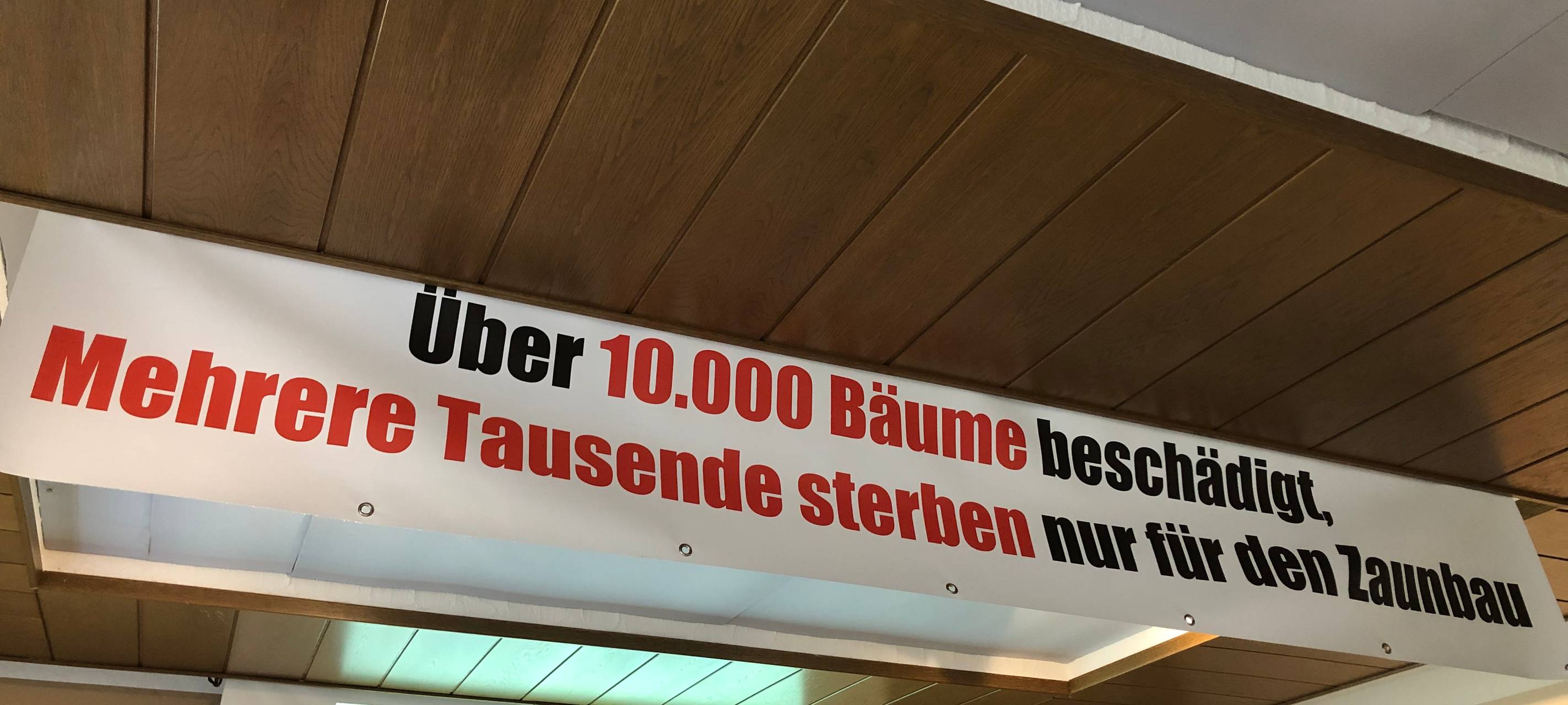 Schmallenberg Latrop will Ende des Wisent-Projektes