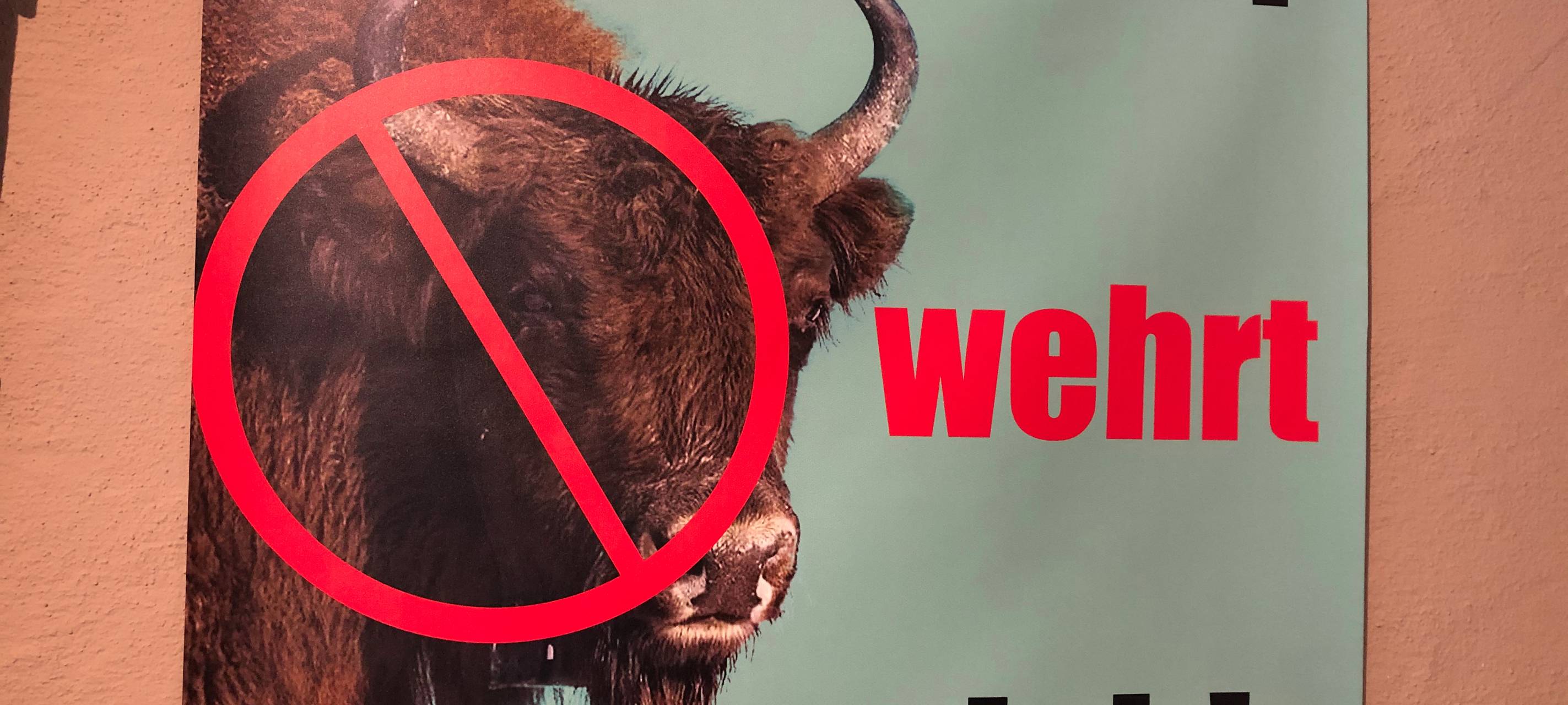 Wisent-Lösung