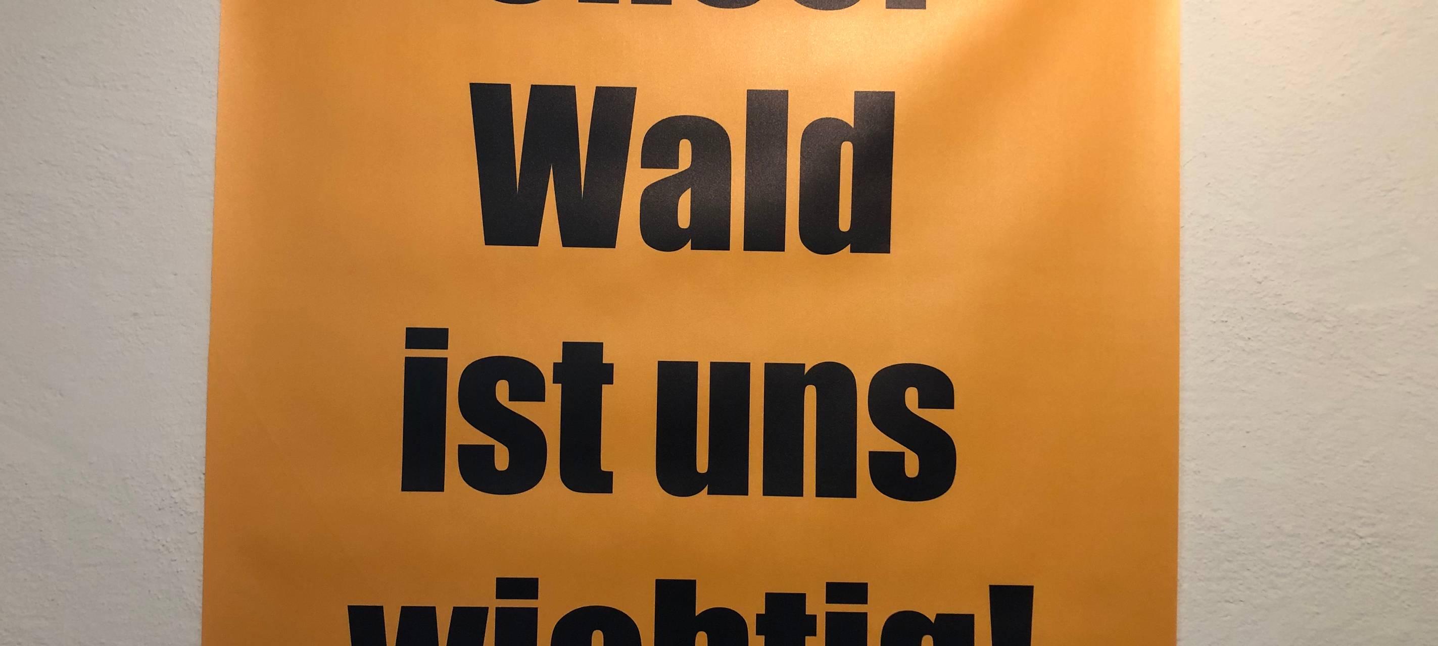 Schmallenberg Latrop will Ende des Wisent-Projektes