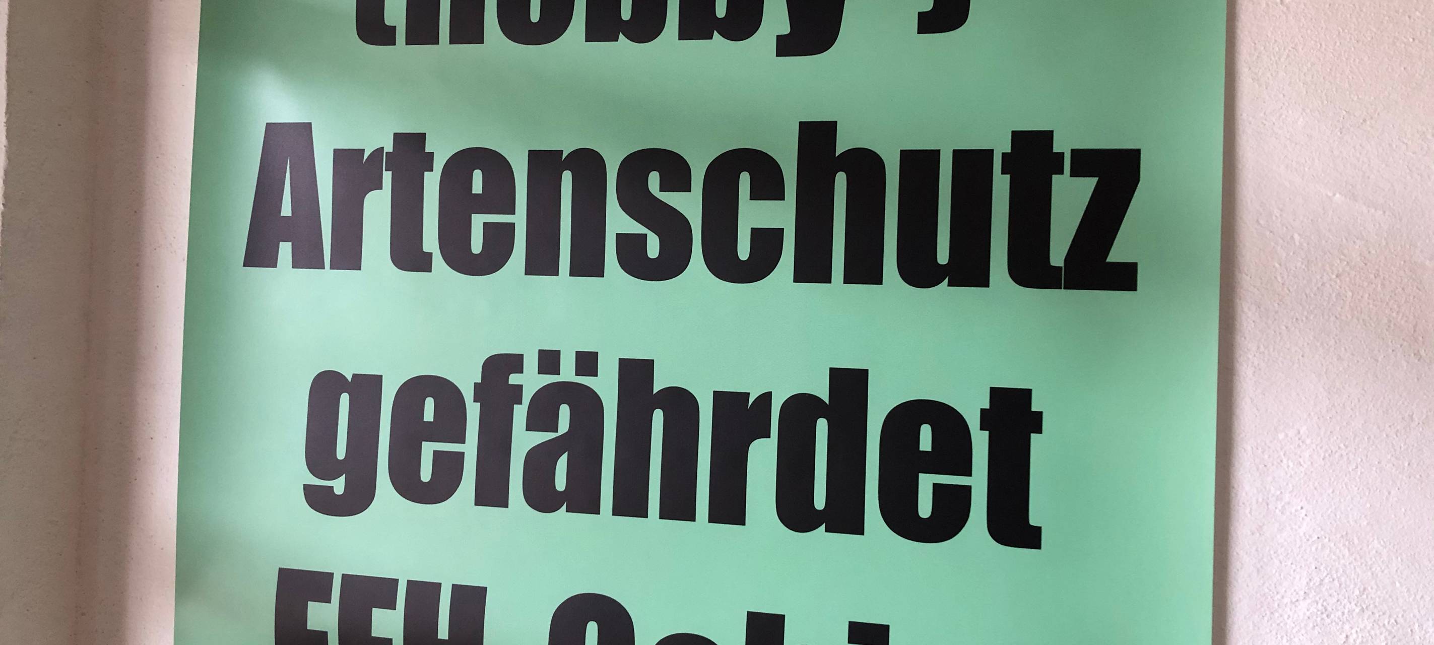 Schmallenberg Latrop will Ende des Wisent-Projektes