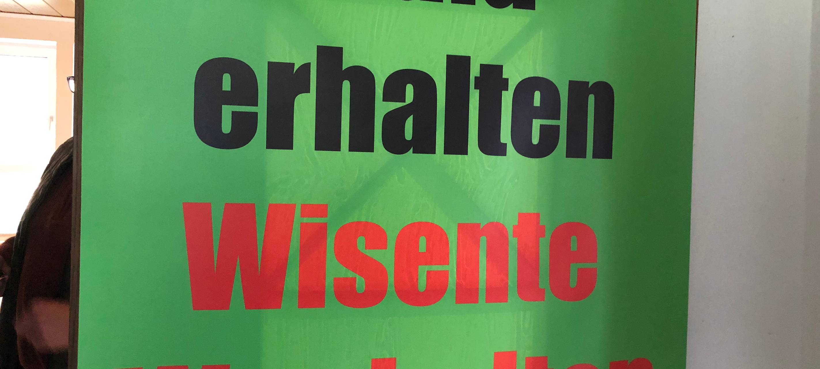 Diskussion um Wisent-Gatter in Schmallenberg geht weiter