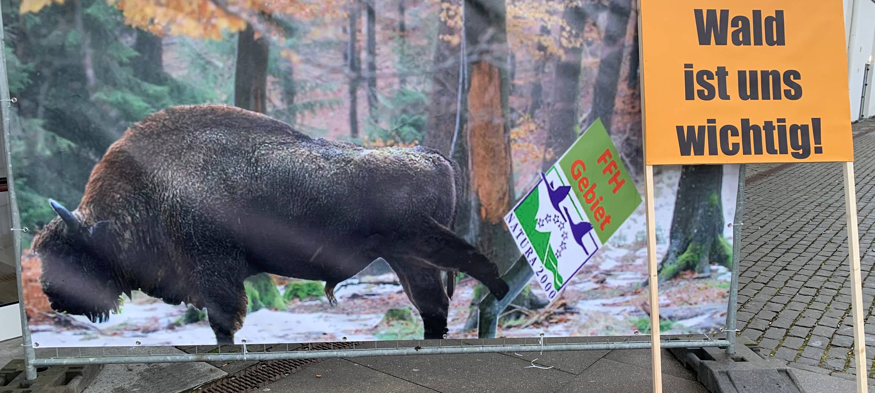 Kompromiss im Wisent-Streit