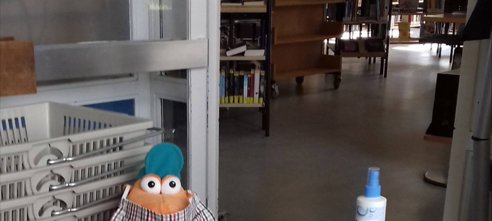 Erste Stadtbüchereien öffnen wieder