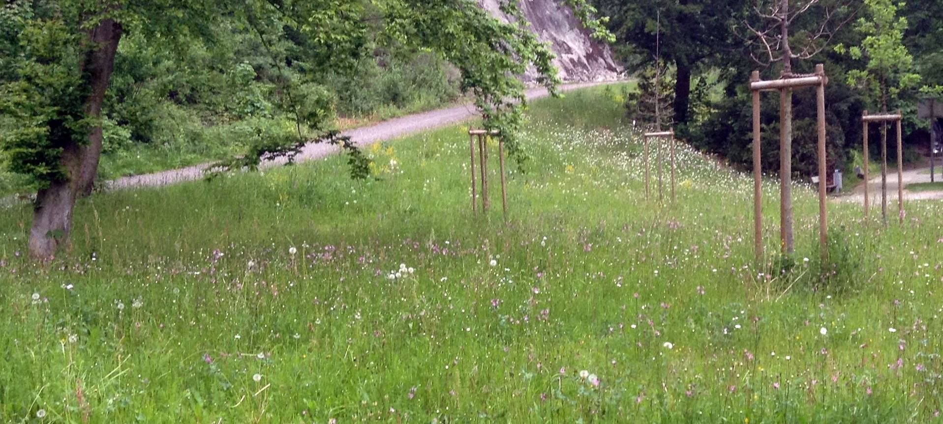 Artenschutz im Sauerland: Förderung für Biologische Station