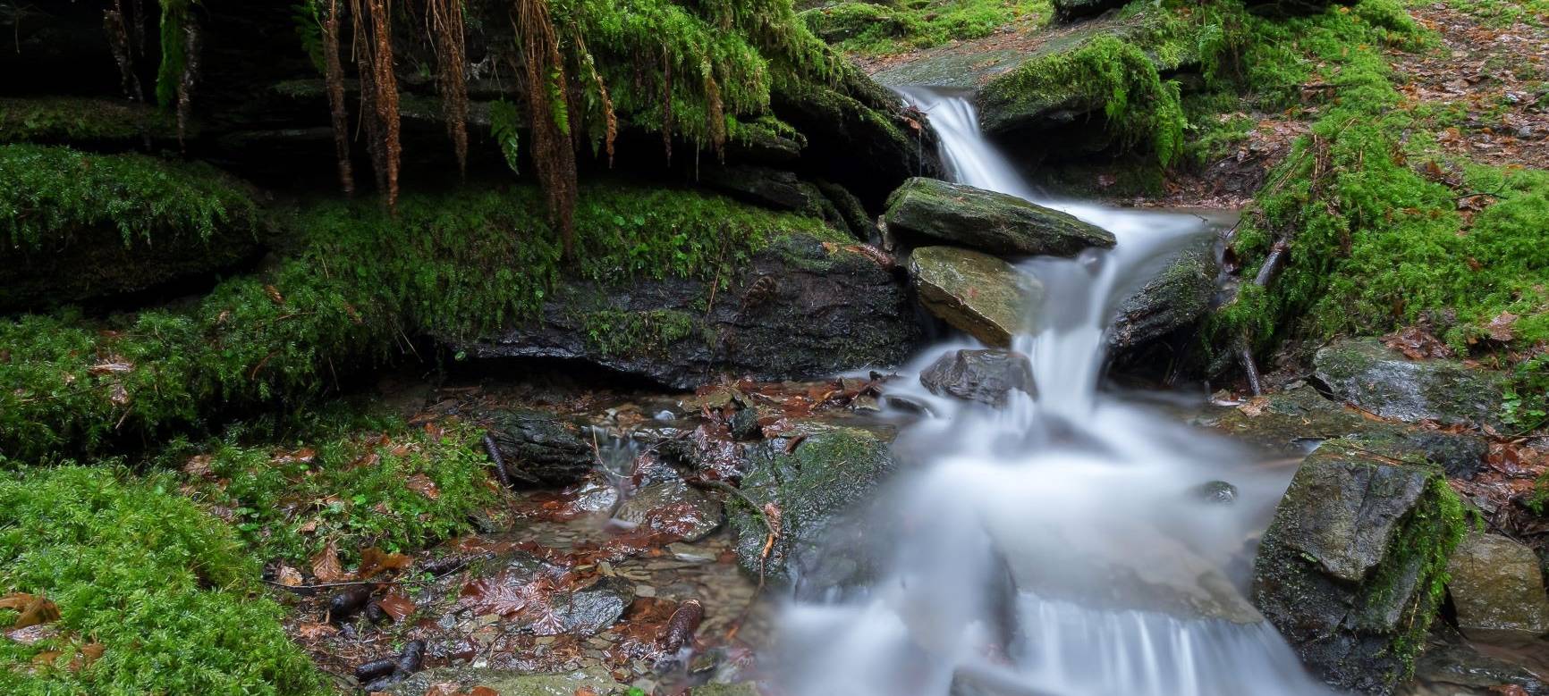 Spiritueller Sommer startet in Schmallenberg