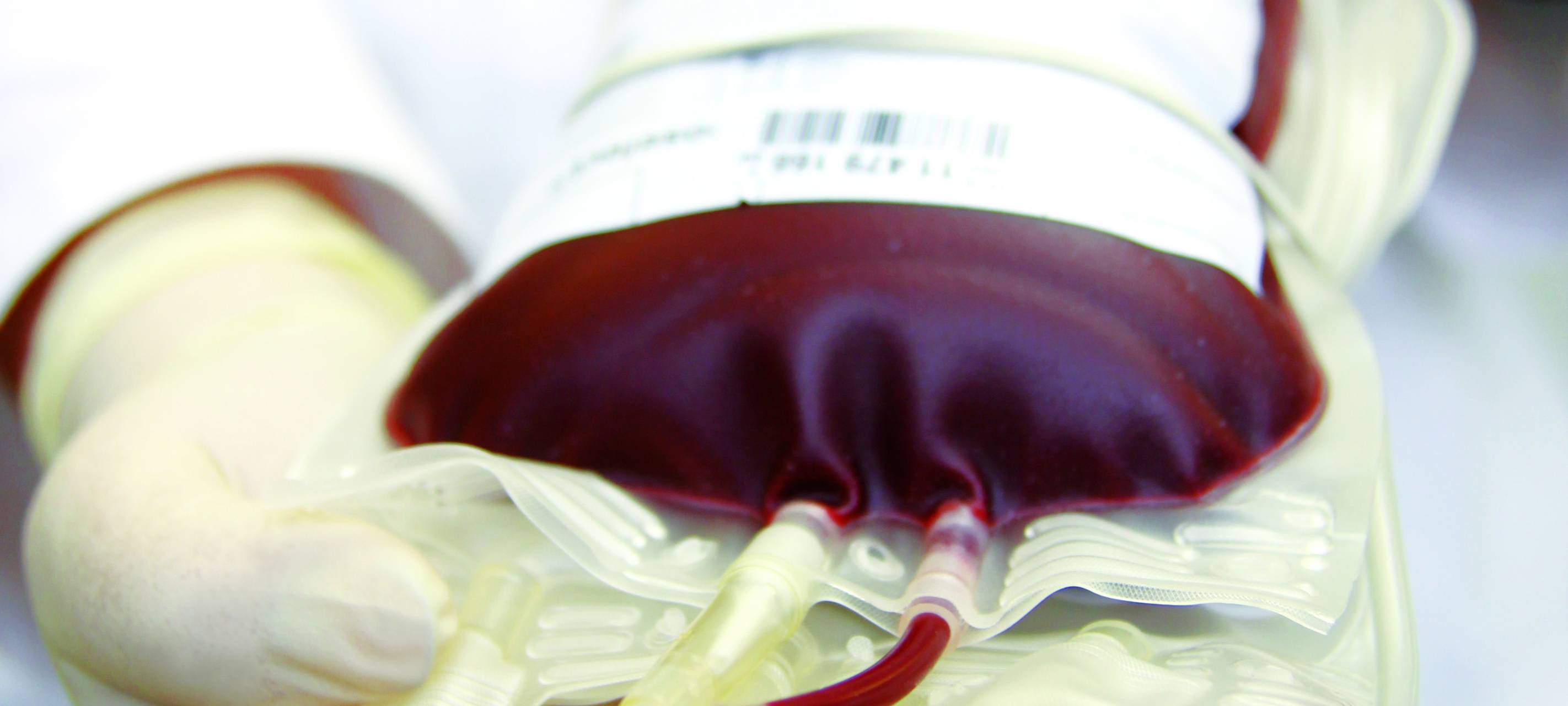 Sauerland: Blutspender gesucht