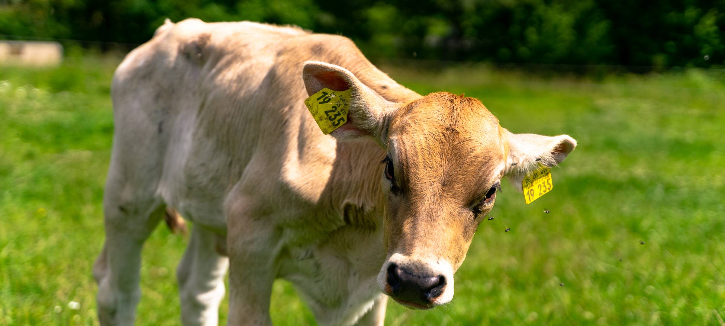 Erster Bauernhofkindergarten im Sauerland
