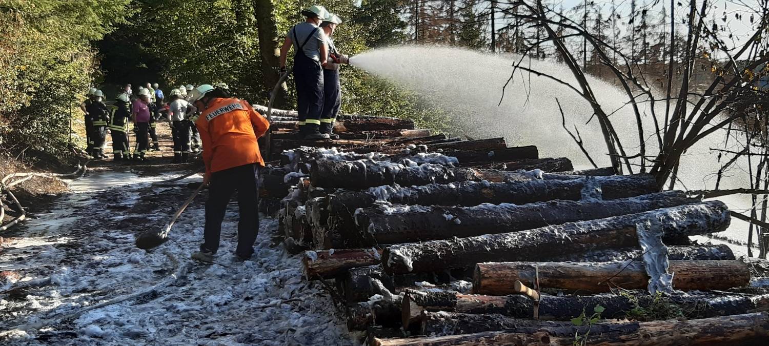 Zwei Waldbrände in Marsberg-Essentho