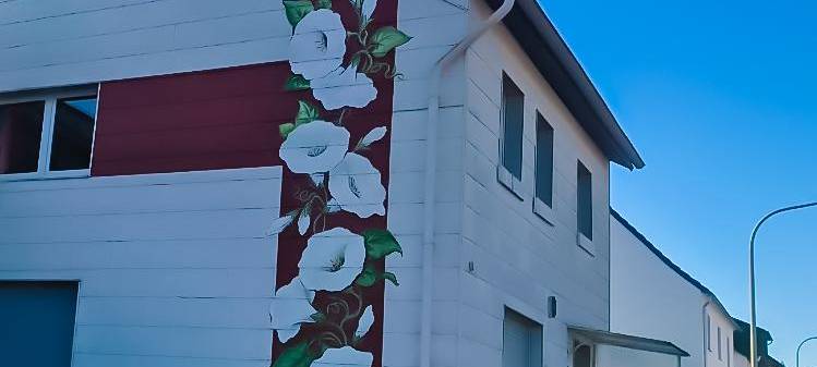 Prozess um "Toten im Maisfeld" bei Meschede