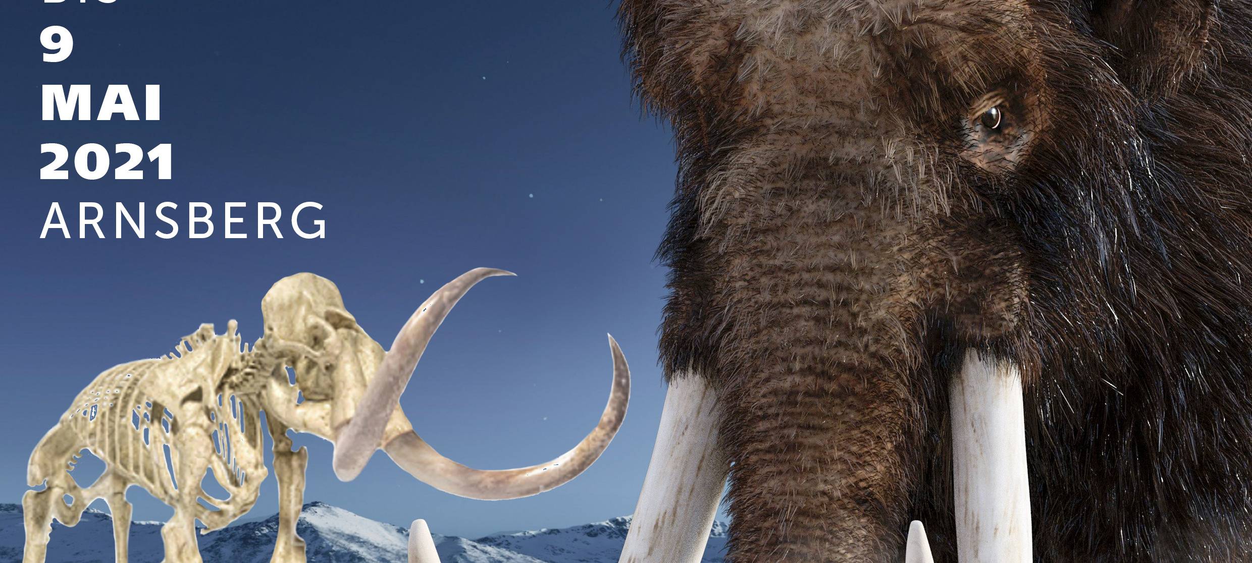 Arnsberger Sauerland Museum zieht Bilanz