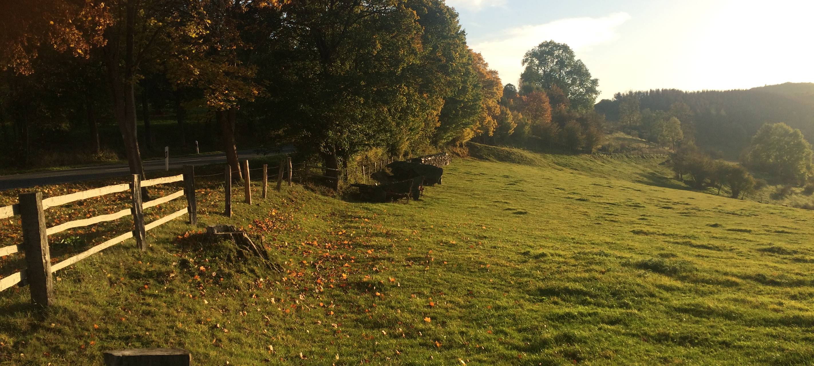 Sauerland: Jetzt ist Wanderzeit