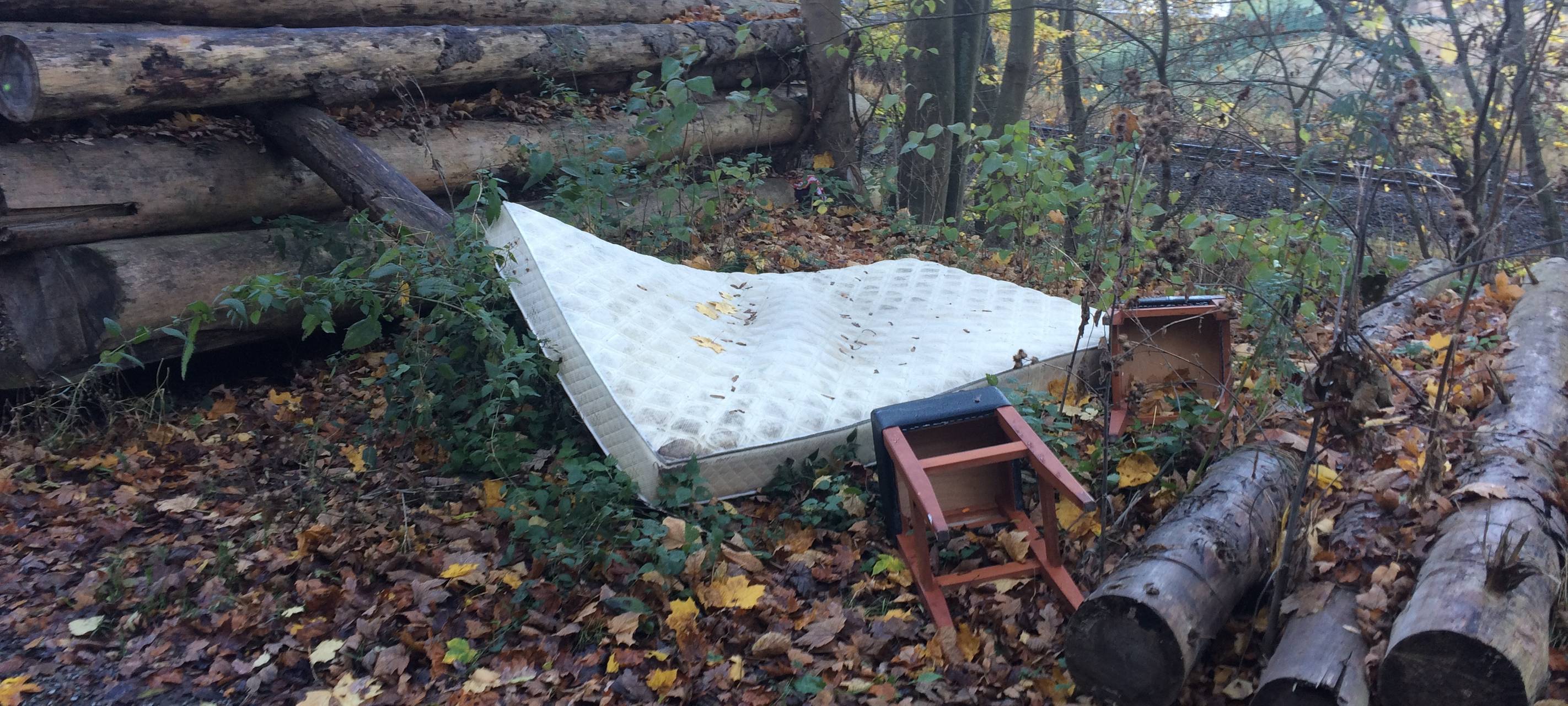 Im Sauerland wird Müll gesammelt