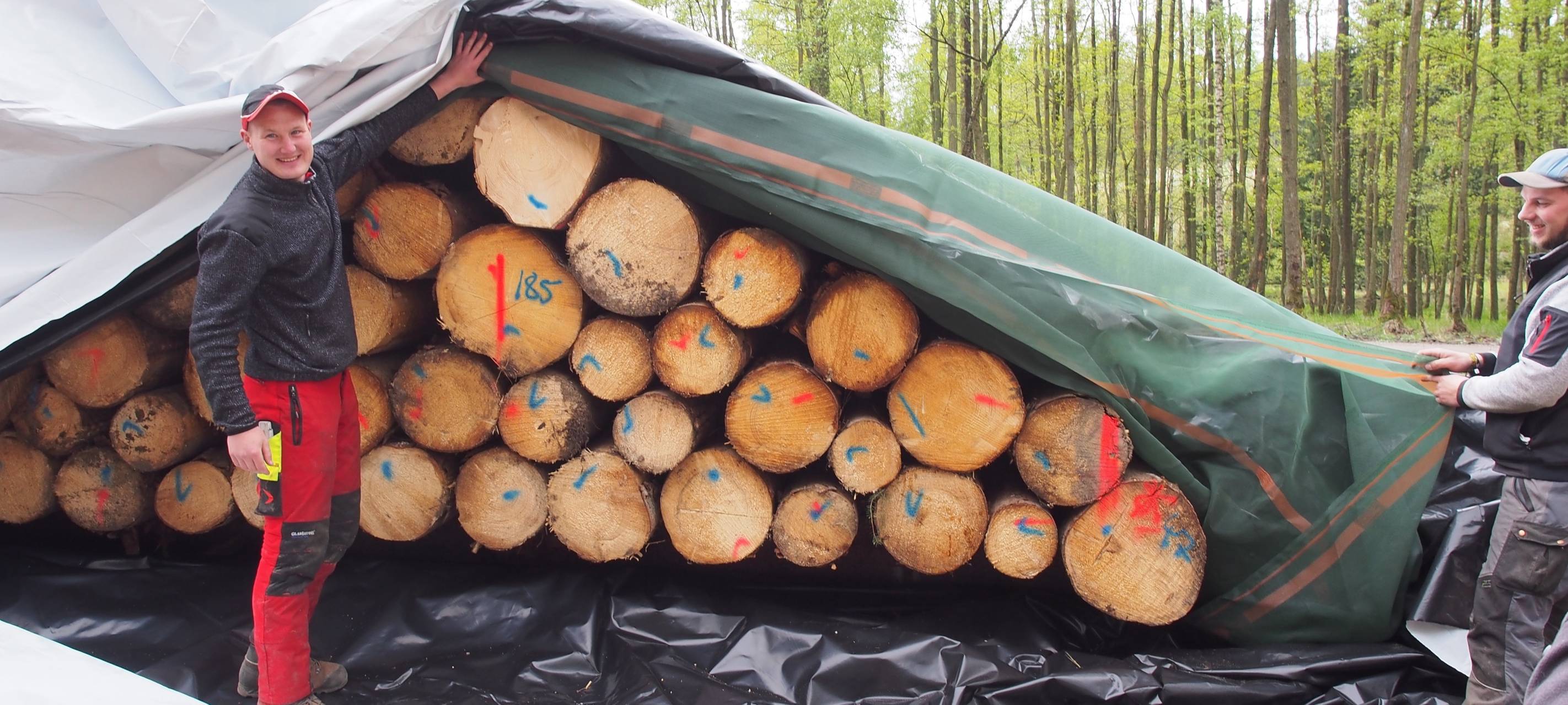 Arnsberg: Holz kann in Folien lange gelagert werden