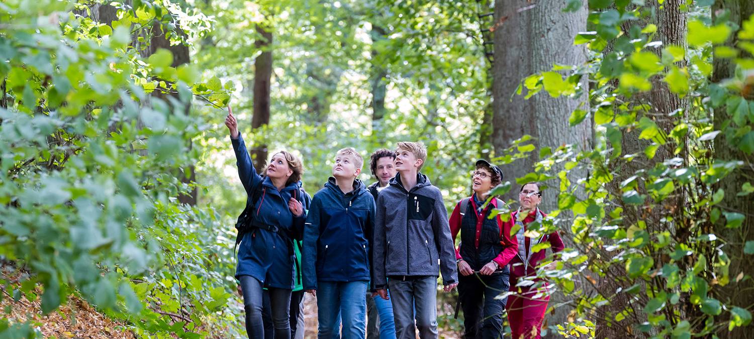 Ehrenamt im Sauerland