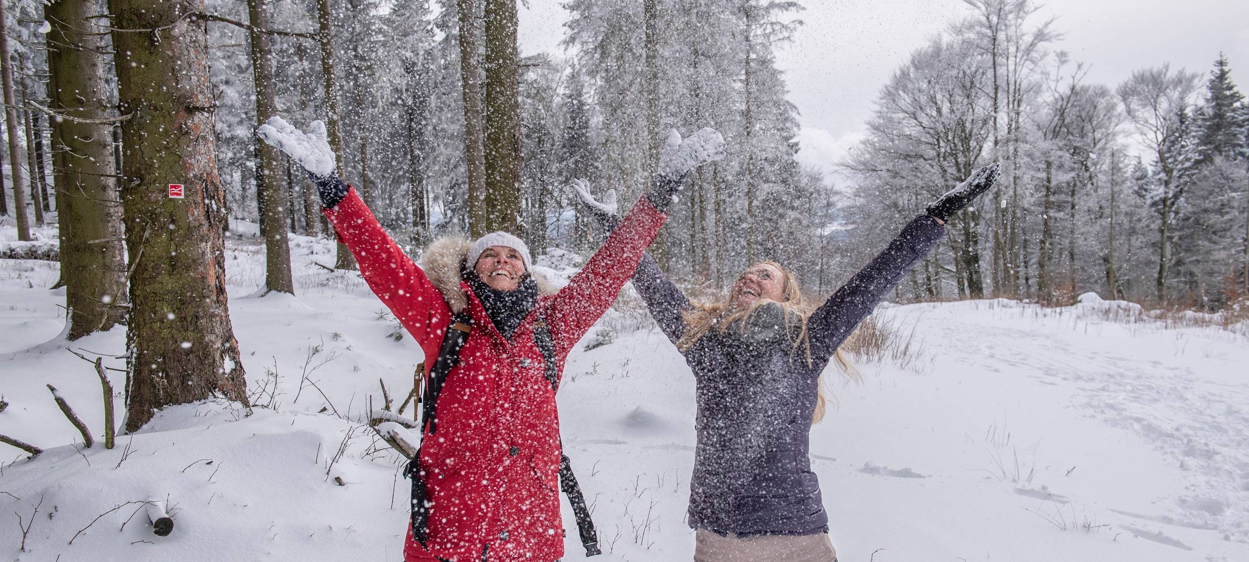 Naturpark Sauerland Rothaargebirge mit vielen Projekten