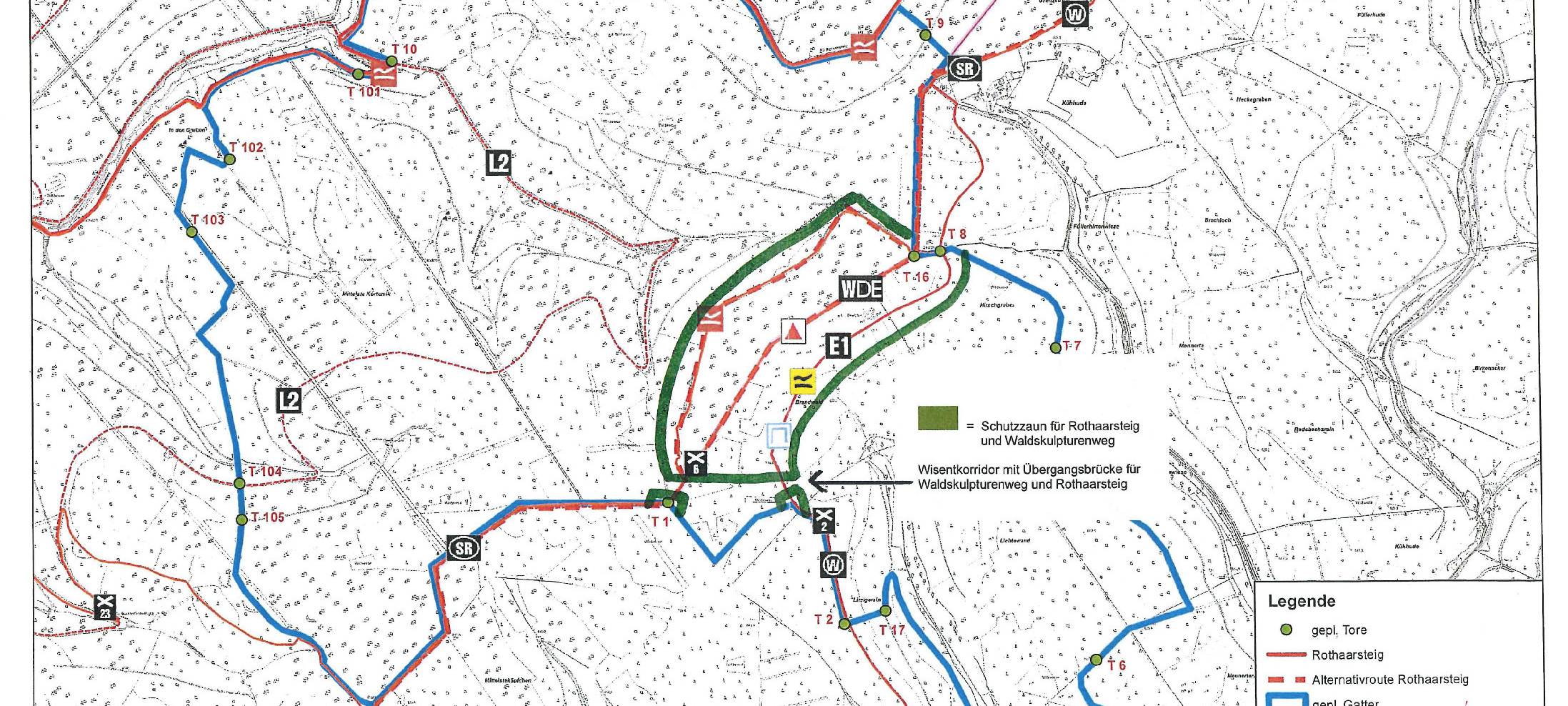 Schmallenberg: Weitere Kritik an geplantem Wisent-Gatter