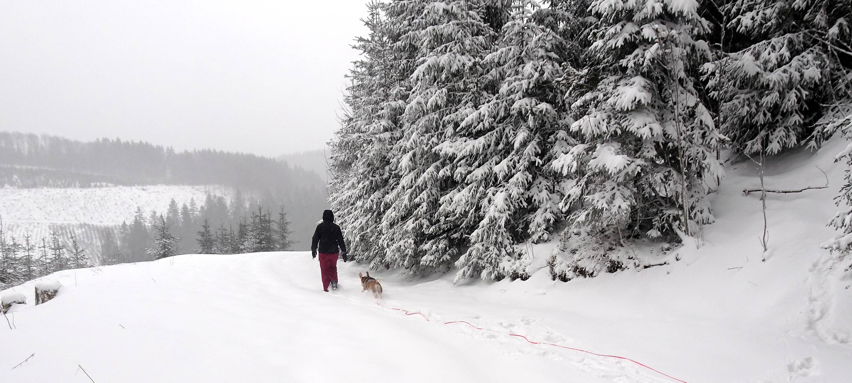 Wintersport-Arena Sauerland drängt auf Öffnung