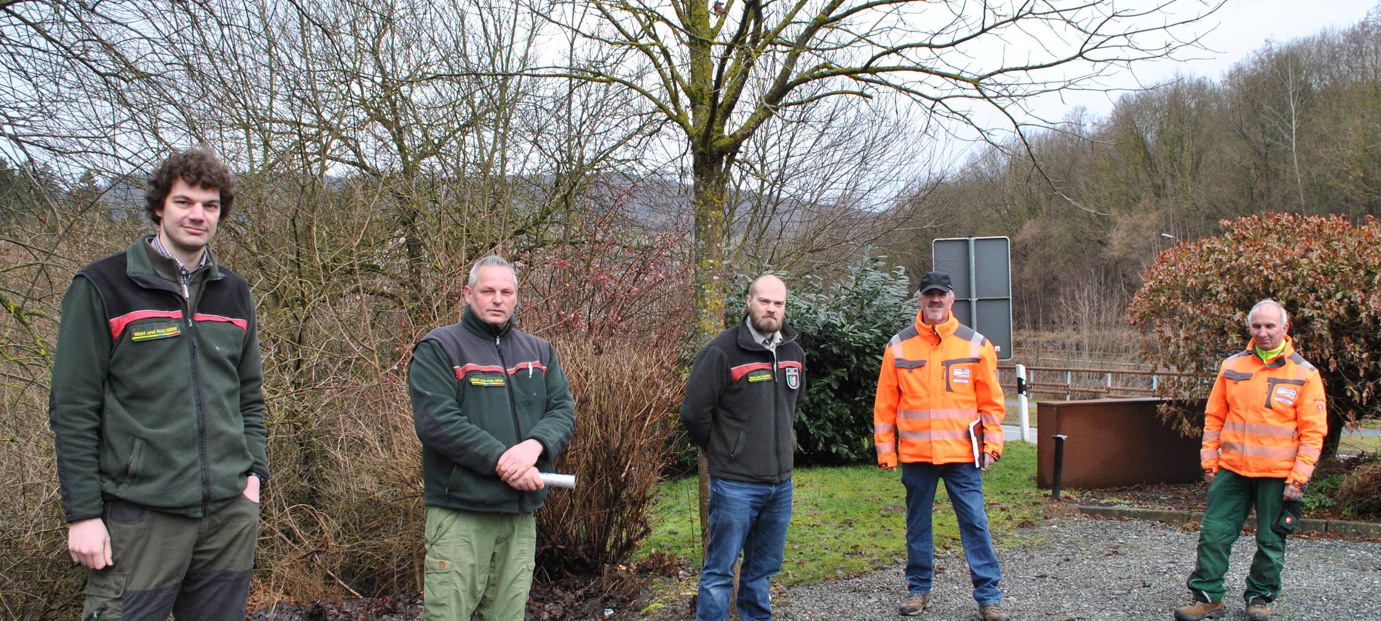 Bestwig startet Projekt für Straßenbäume