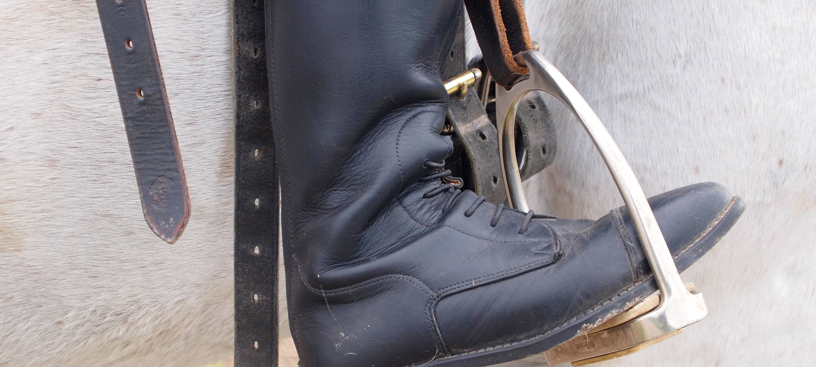 Winterberg: Reitverein bekommt Fördergelder