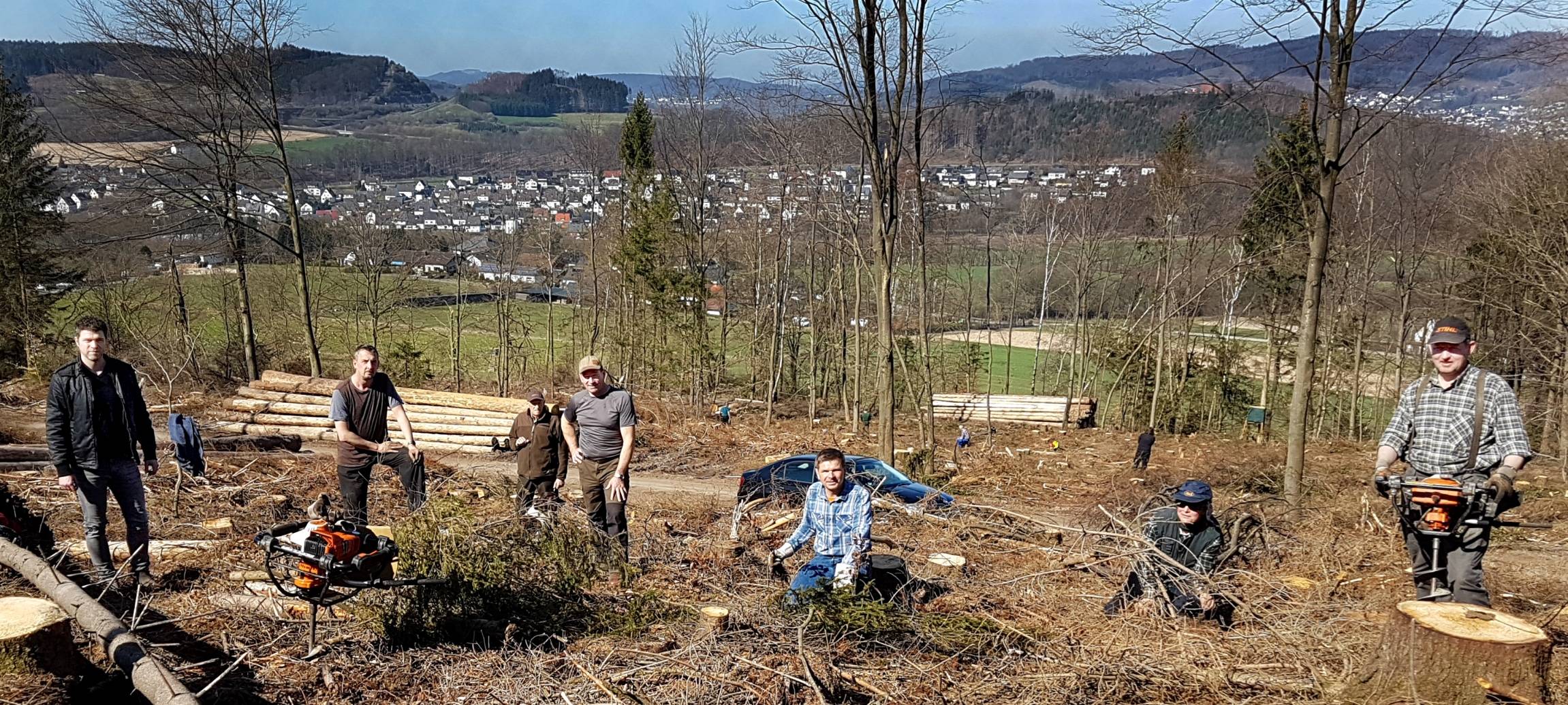 1525 junge Bäume Wald in Meschede