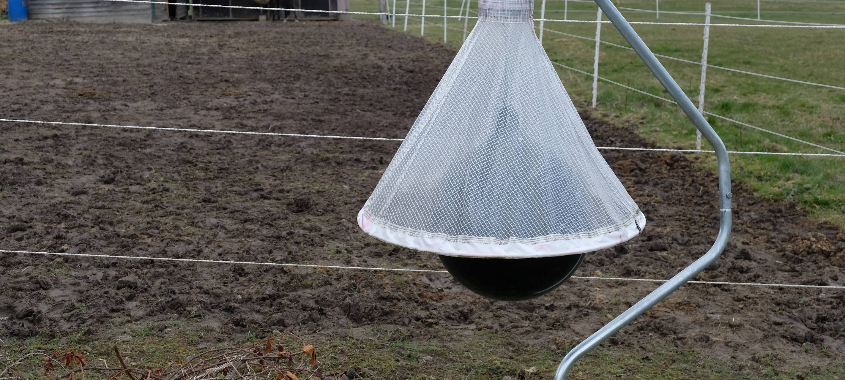 Bremsenfallen im Sauerland killen geschützte Arten