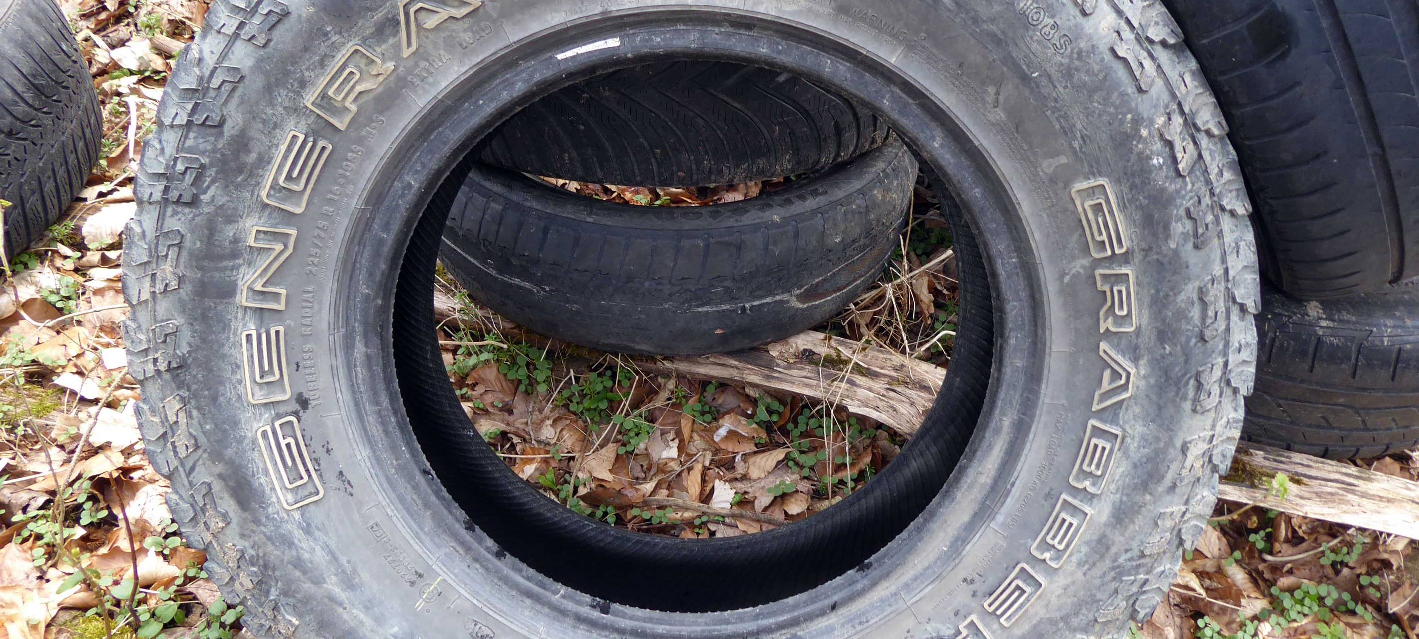 400 Altreifen in Bestwig in den Wald gekippt
