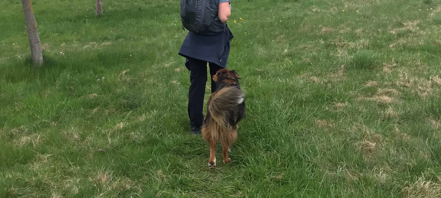 Komm, wir trinken noch ein Pülleken