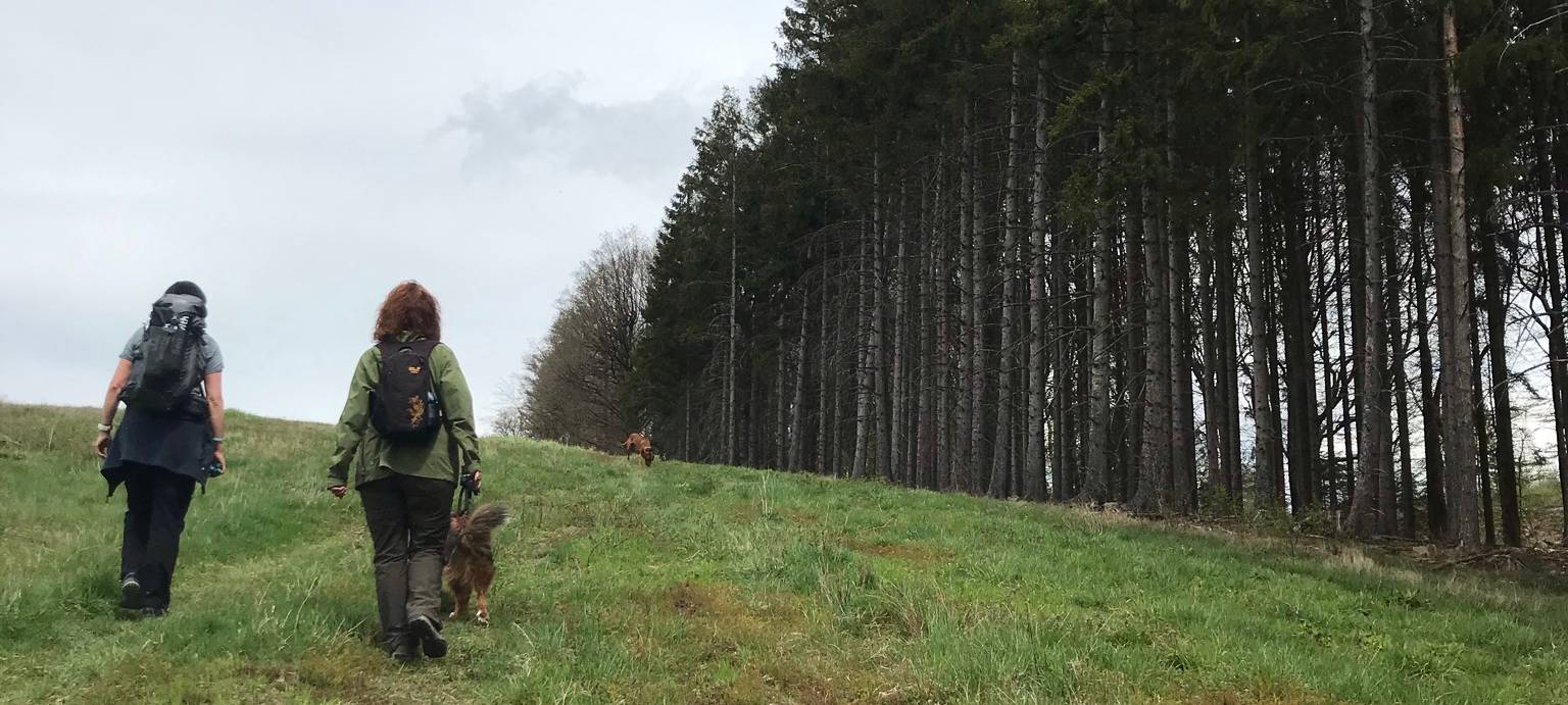 Komm, wir trinken noch ein Pülleken