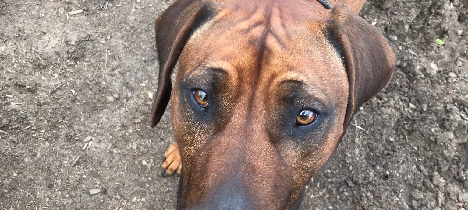 Komm, wir trinken noch ein Pülleken