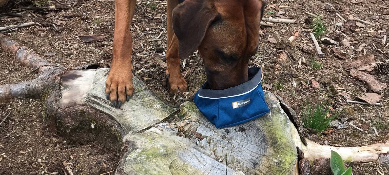 Komm, wir trinken noch ein Pülleken