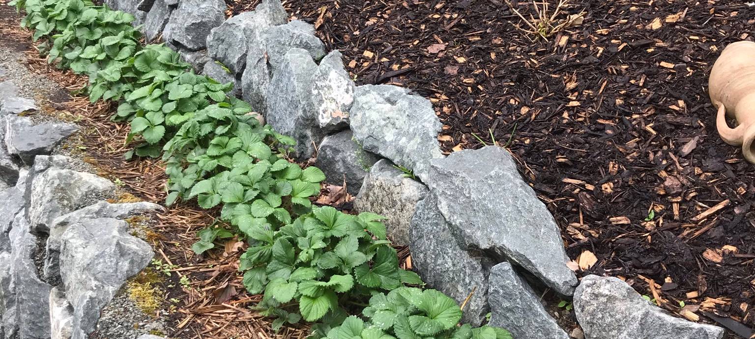 Komm, wir trinken noch ein Pülleken