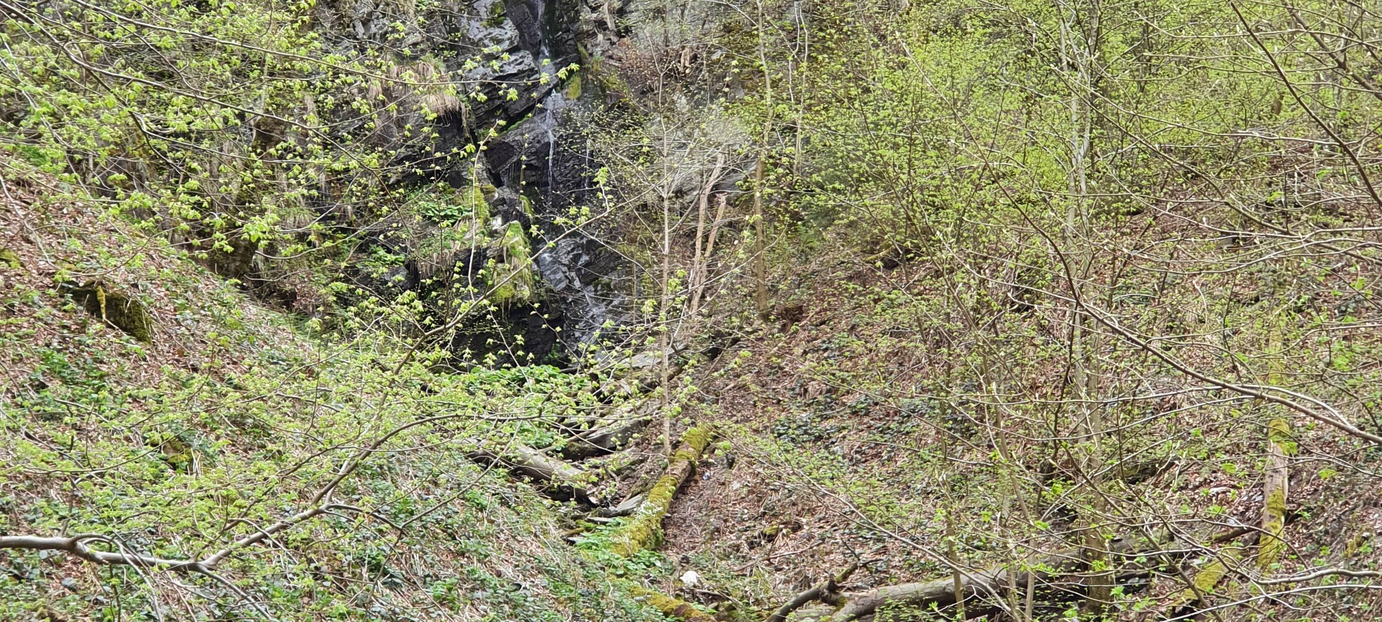 Bestwig-Wasserfall: Steg an der Plästerlegge angelegt