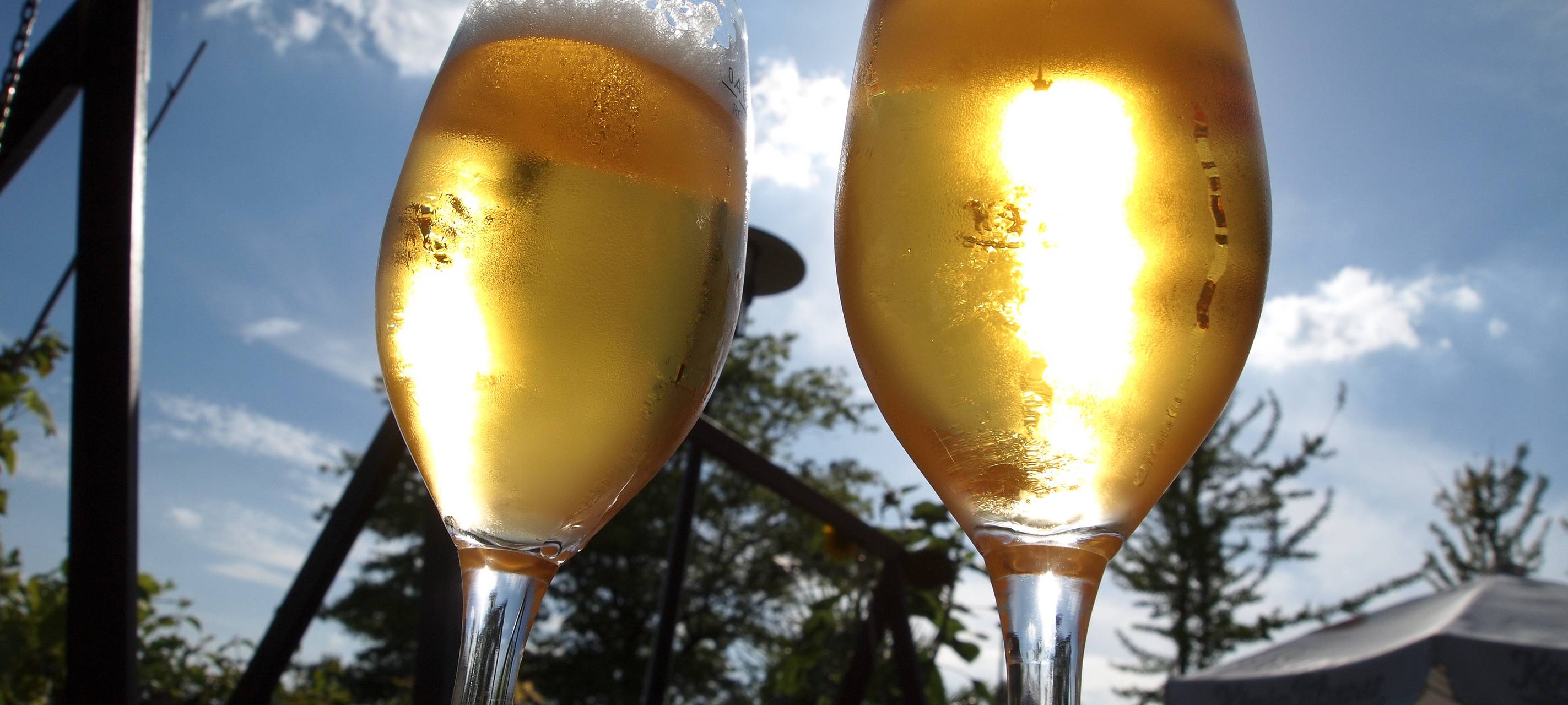 Gastro-App soll Gästeregistrierung vereinfachen