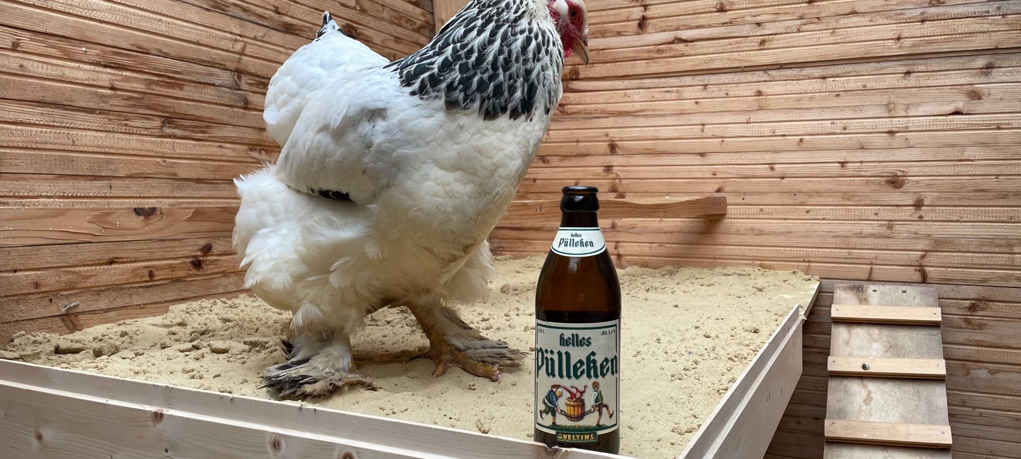 Komm, wir trinken noch ein Pülleken