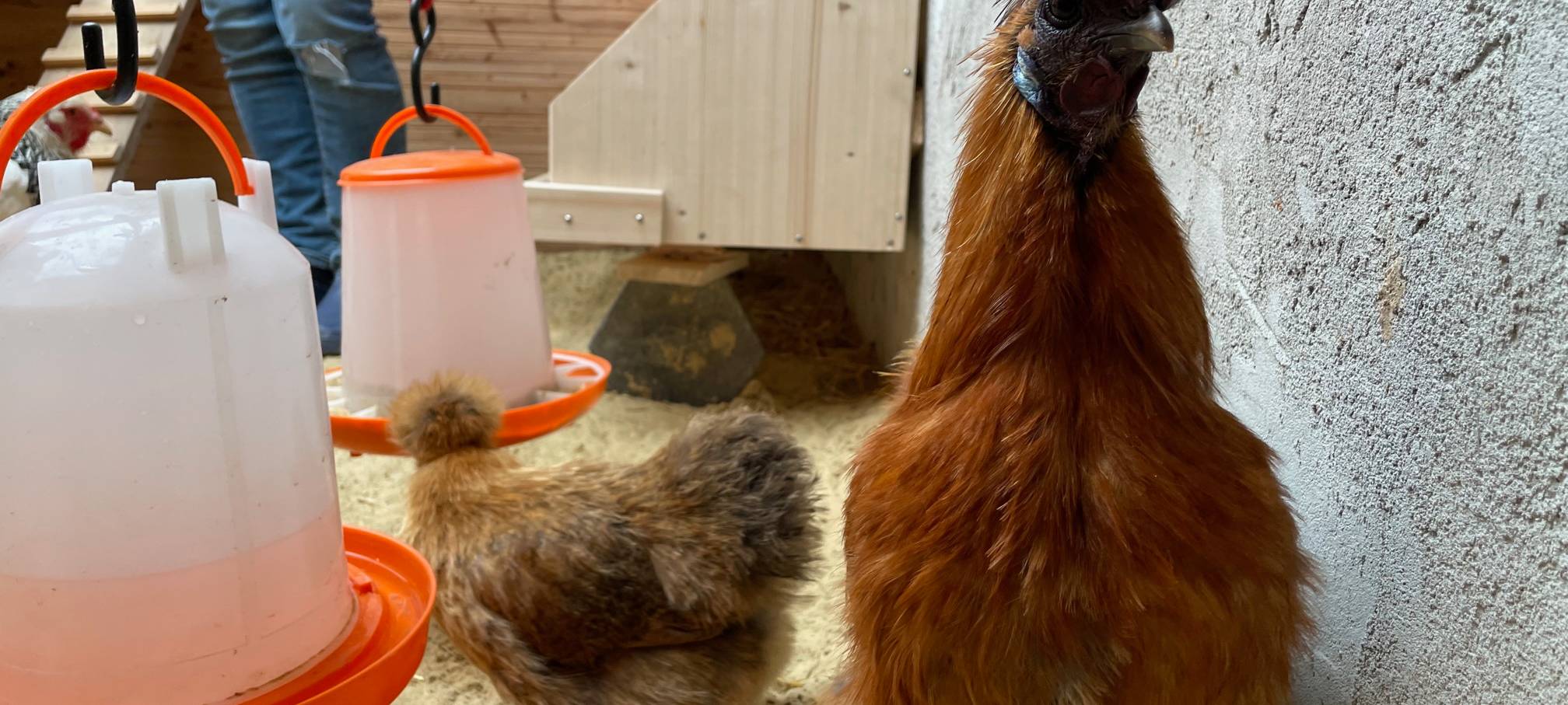 Komm, wir trinken noch ein Pülleken