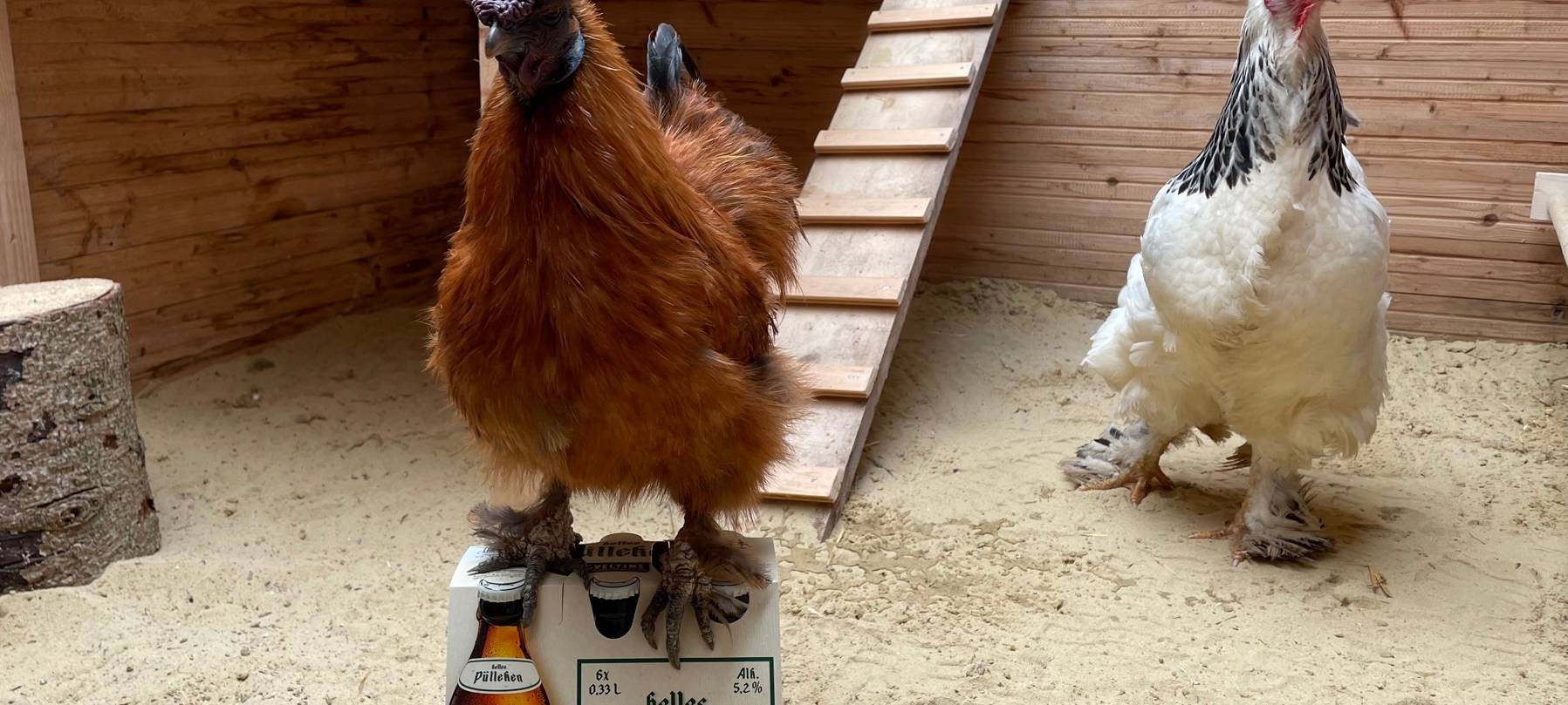 Komm, wir trinken noch ein Pülleken