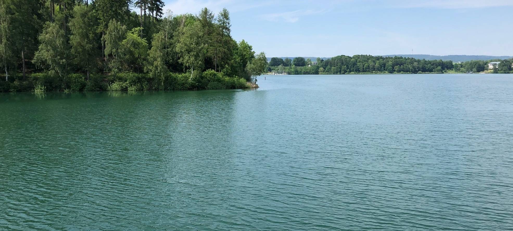 Blaualgen im Hennesee in Meschede: Zwei Hunde sterben