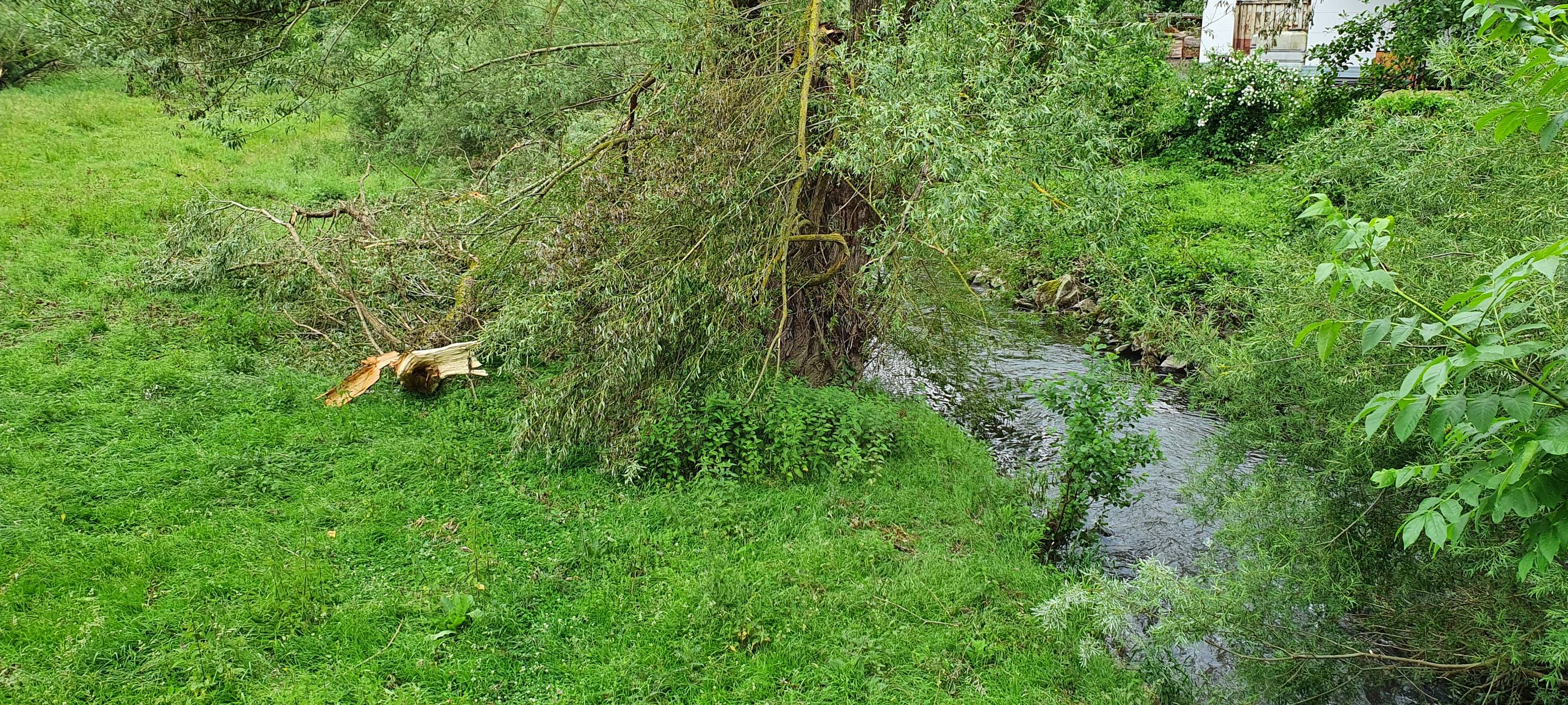 Mehr Tornados im Sauerland