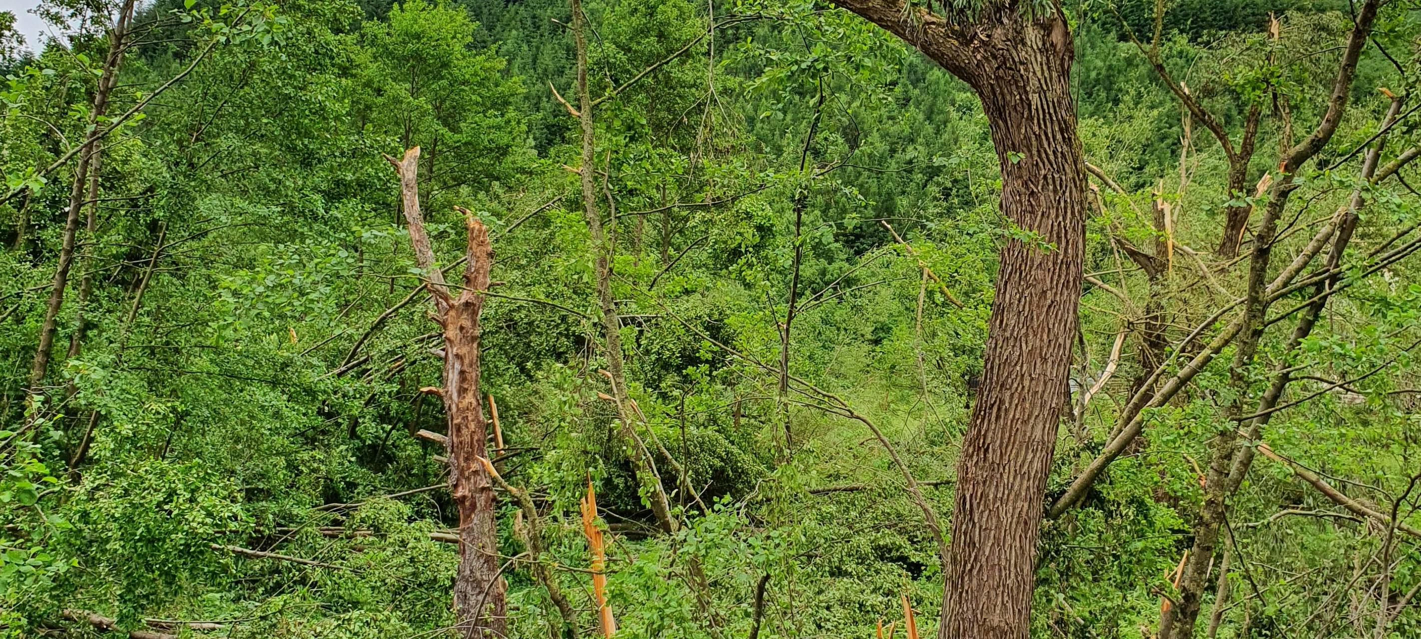 Mehr Tornados im Sauerland